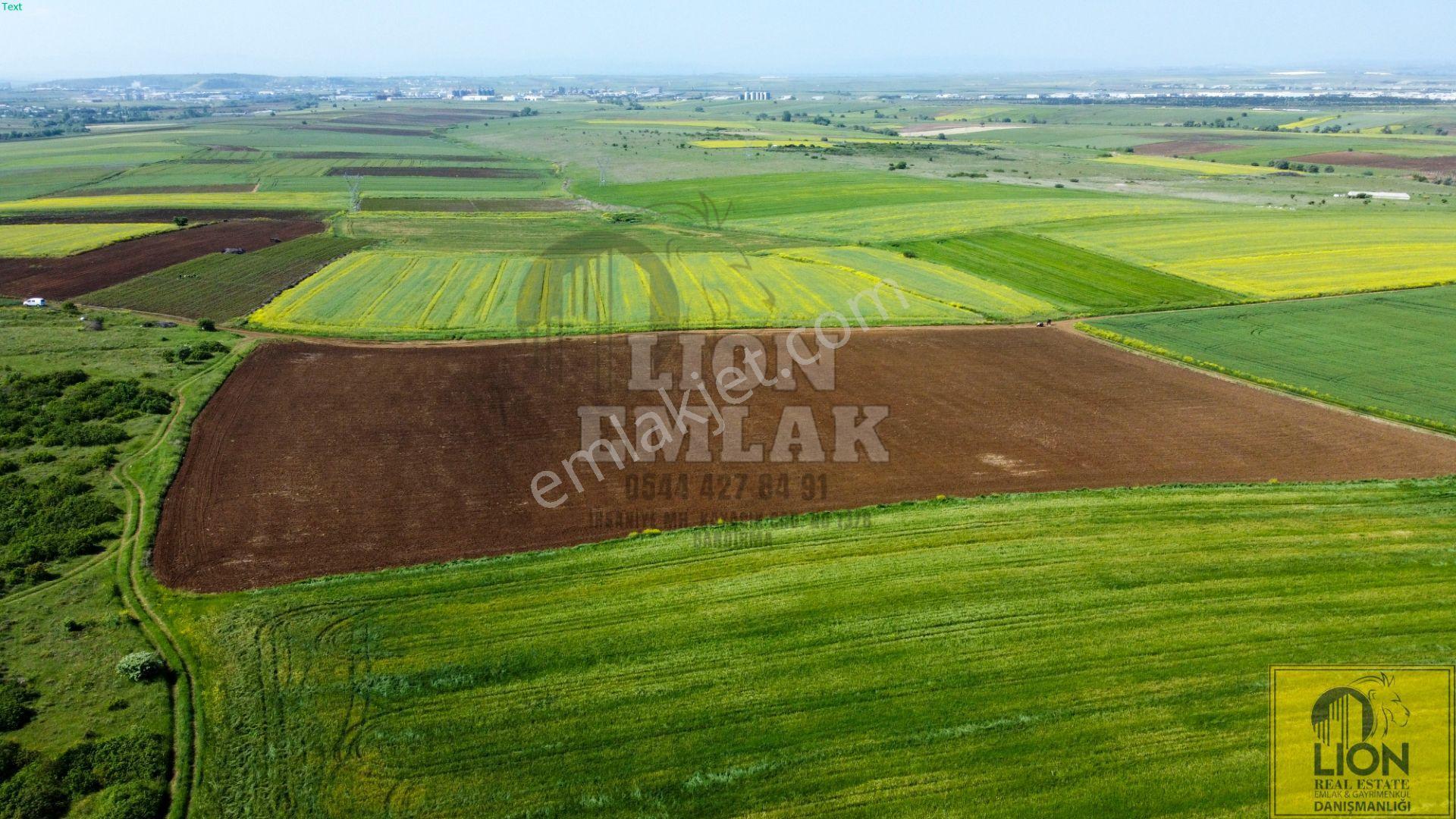 🟨⬛lıon Emlak'tan Kayacık Mahallesi'nde Tek Tapulu Satılık Tarla ⬛🟨 - Görsel 16