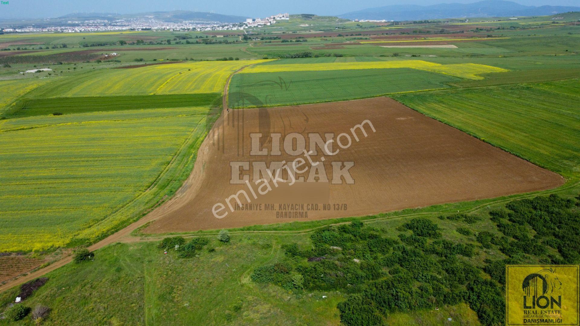 🟨⬛lıon Emlak'tan Kayacık Mahallesi'nde Tek Tapulu Satılık Tarla ⬛🟨 - Görsel 8