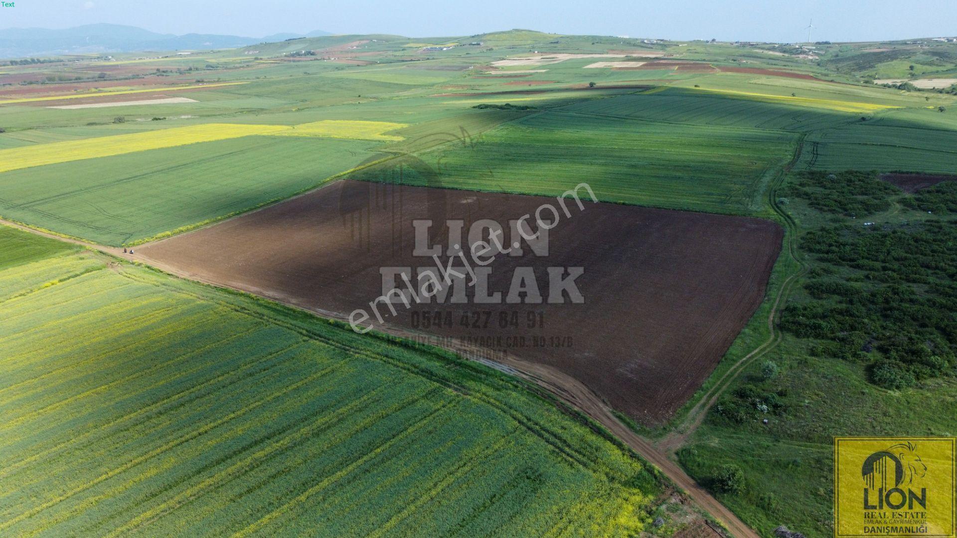 🟨⬛lıon Emlak'tan Kayacık Mahallesi'nde Tek Tapulu Satılık Tarla ⬛🟨 - Görsel 6