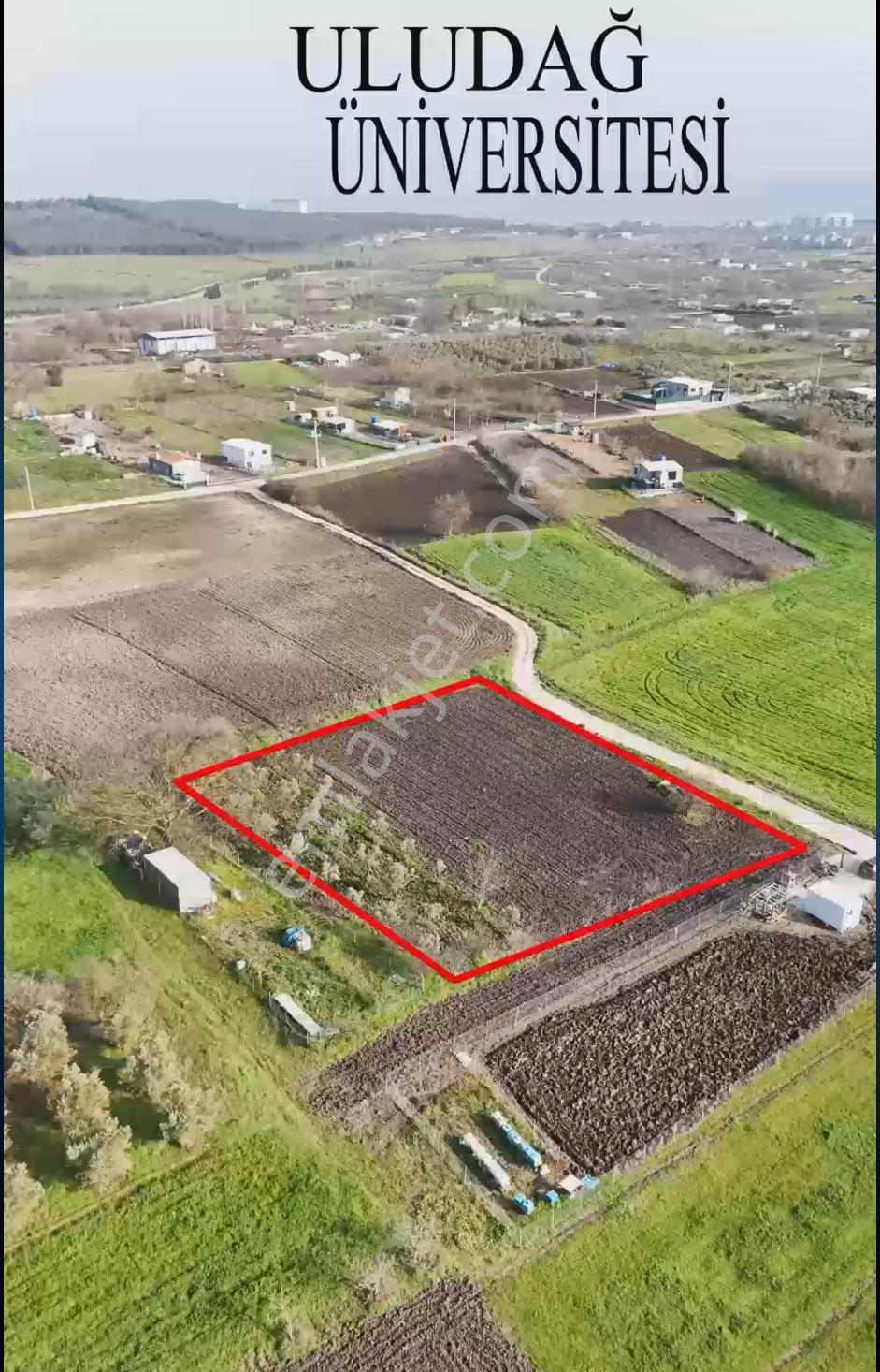 Bahar'dan Görükle Sakarya'da Tek Tapu Satılık Tarla - Görsel 4