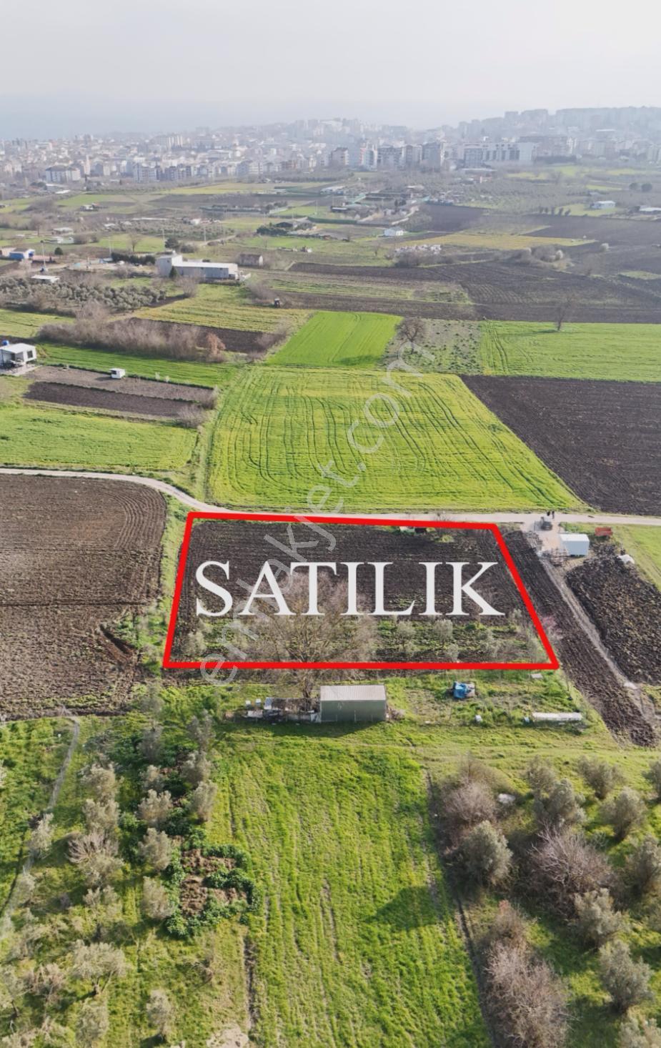 Bahar'dan Görükle Sakarya'da Tek Tapu Satılık Tarla - Görsel 2