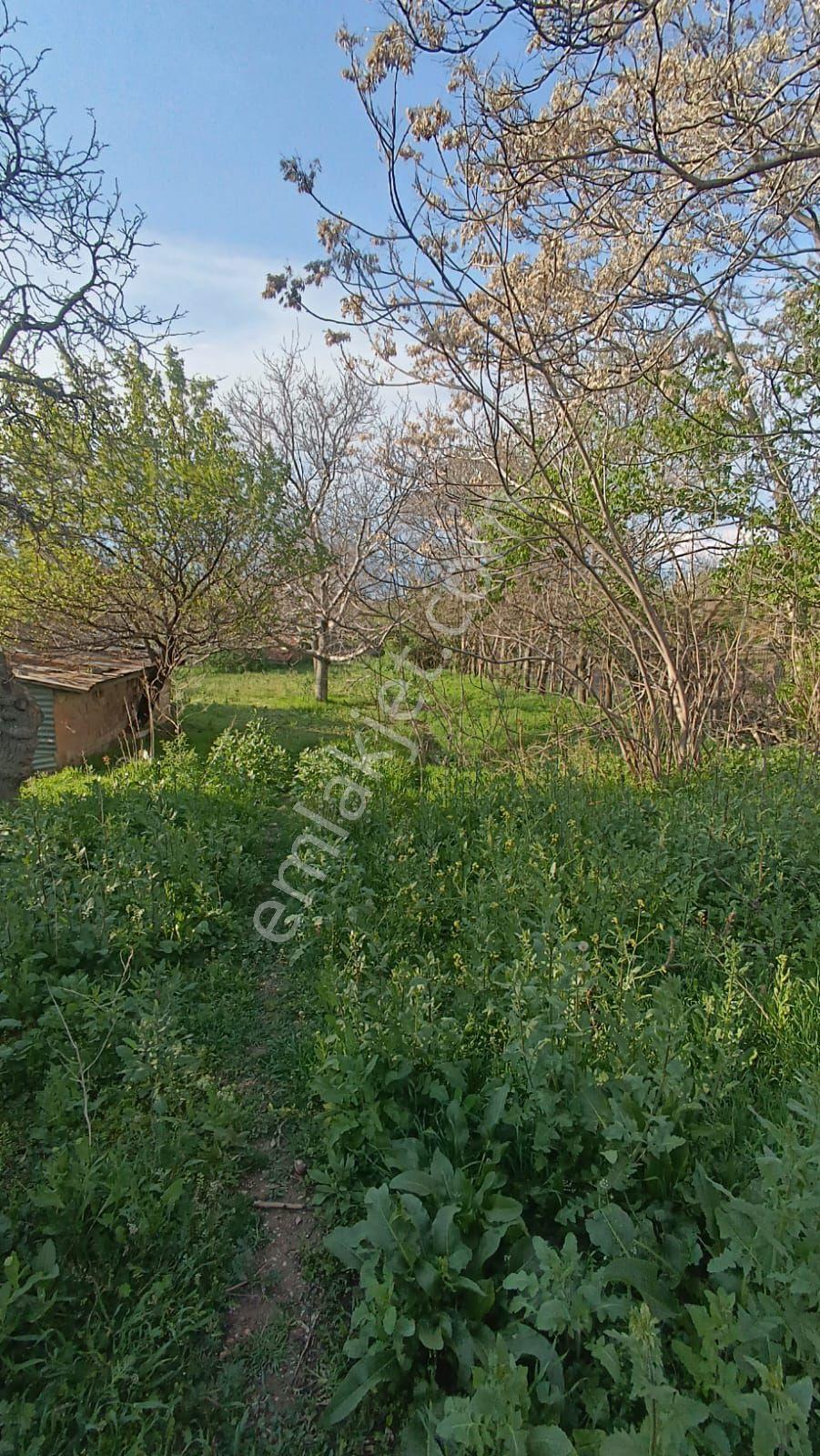 Sincan Ayaş Oltan Mah Tek Tapu 5500m2 Köy İçinde Satılık Arsa - Görsel 24