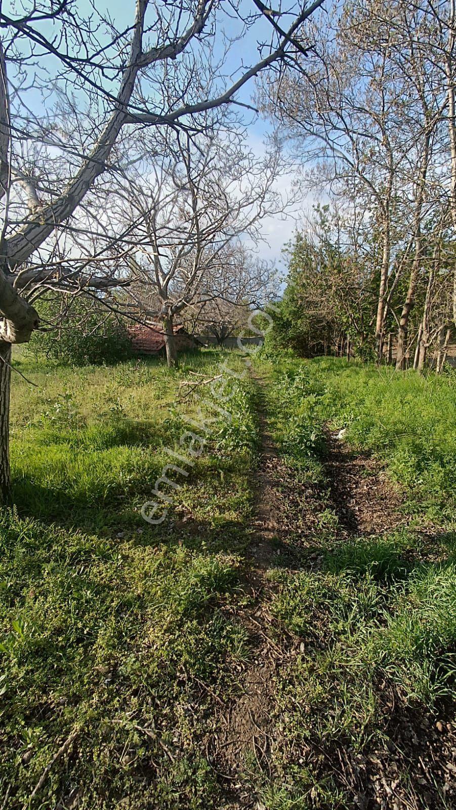 Sincan Ayaş Oltan Mah Tek Tapu 5500m2 Köy İçinde Satılık Arsa - Görsel 34