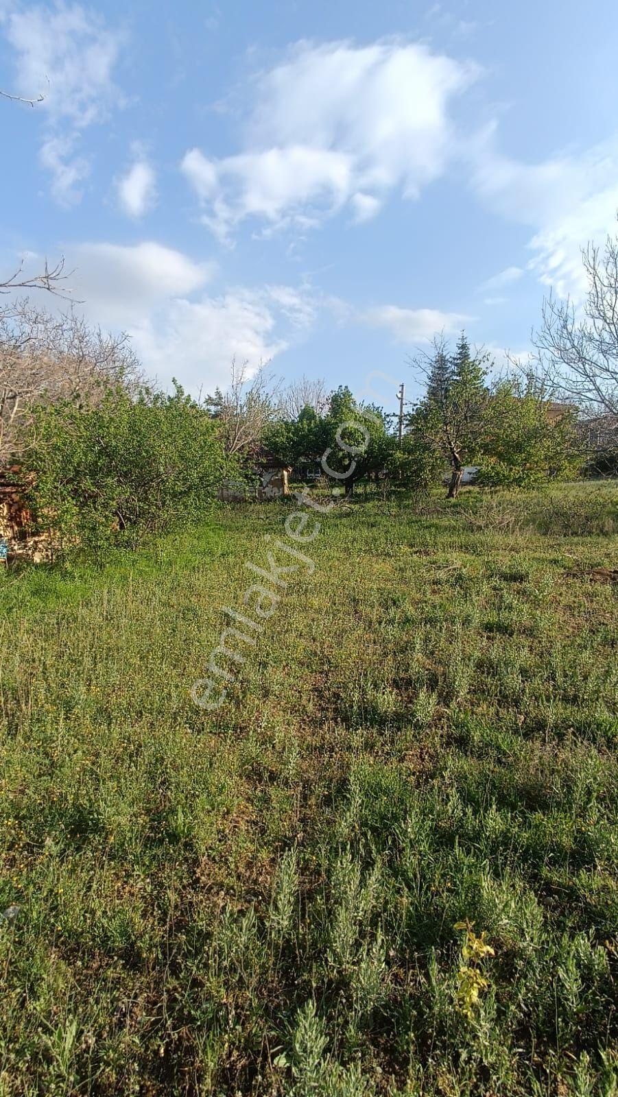 Sincan Ayaş Oltan Mah Tek Tapu 5500m2 Köy İçinde Satılık Arsa - Görsel 20