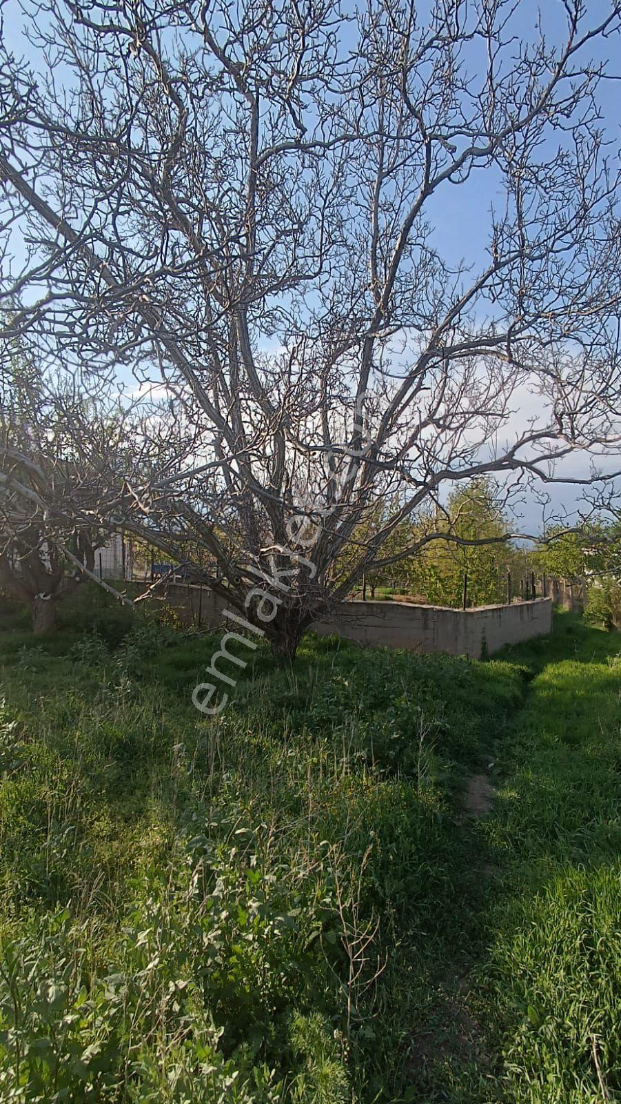 Sincan Ayaş Oltan Mah Tek Tapu 5500m2 Köy İçinde Satılık Arsa - Görsel 27