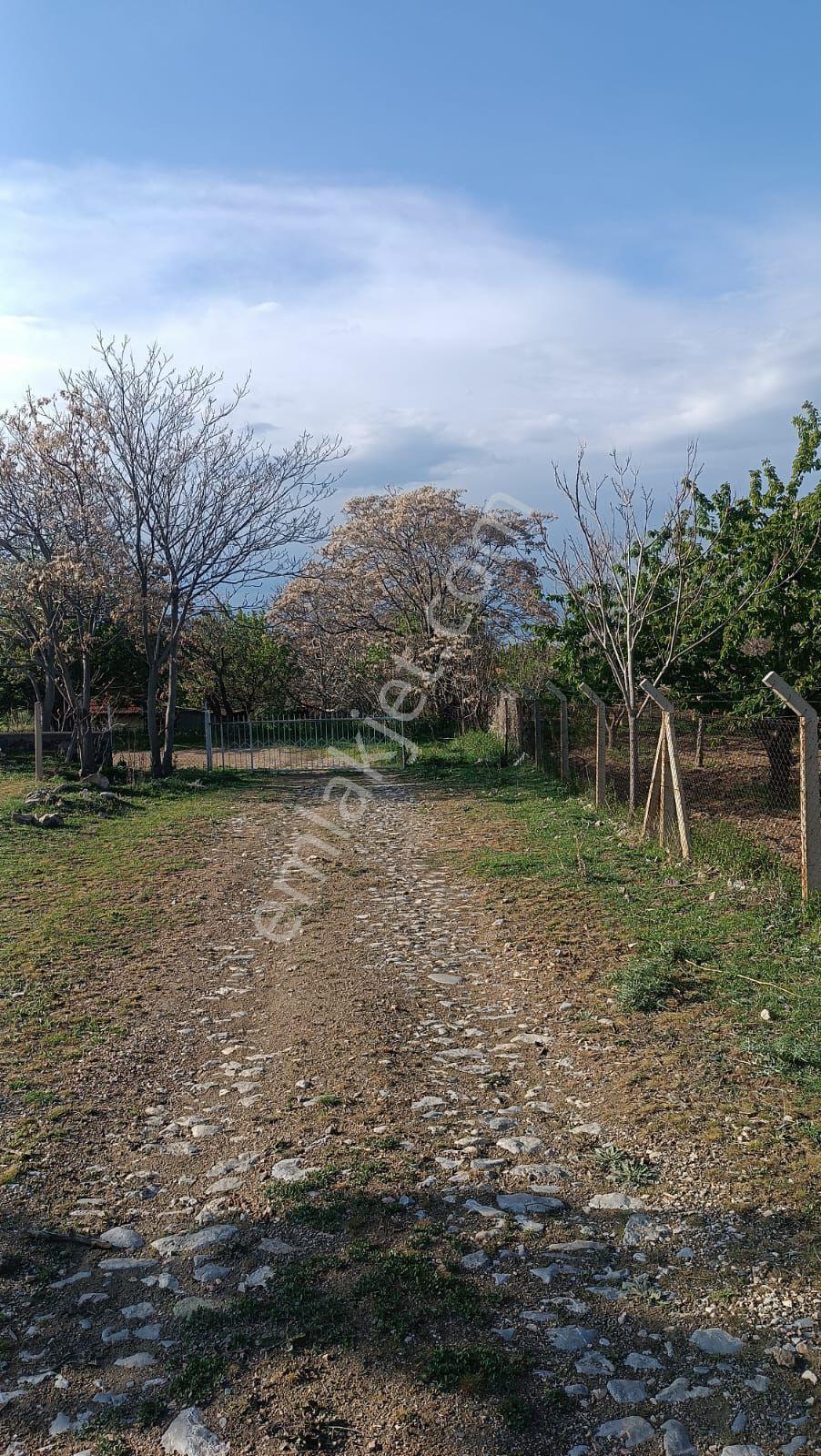 Sincan Ayaş Oltan Mah Tek Tapu 5500m2 Köy İçinde Satılık Arsa - Görsel 9