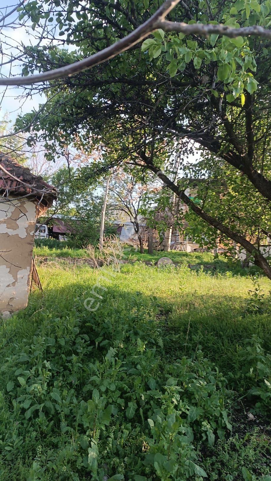 Sincan Ayaş Oltan Mah Tek Tapu 5500m2 Köy İçinde Satılık Arsa - Görsel 25