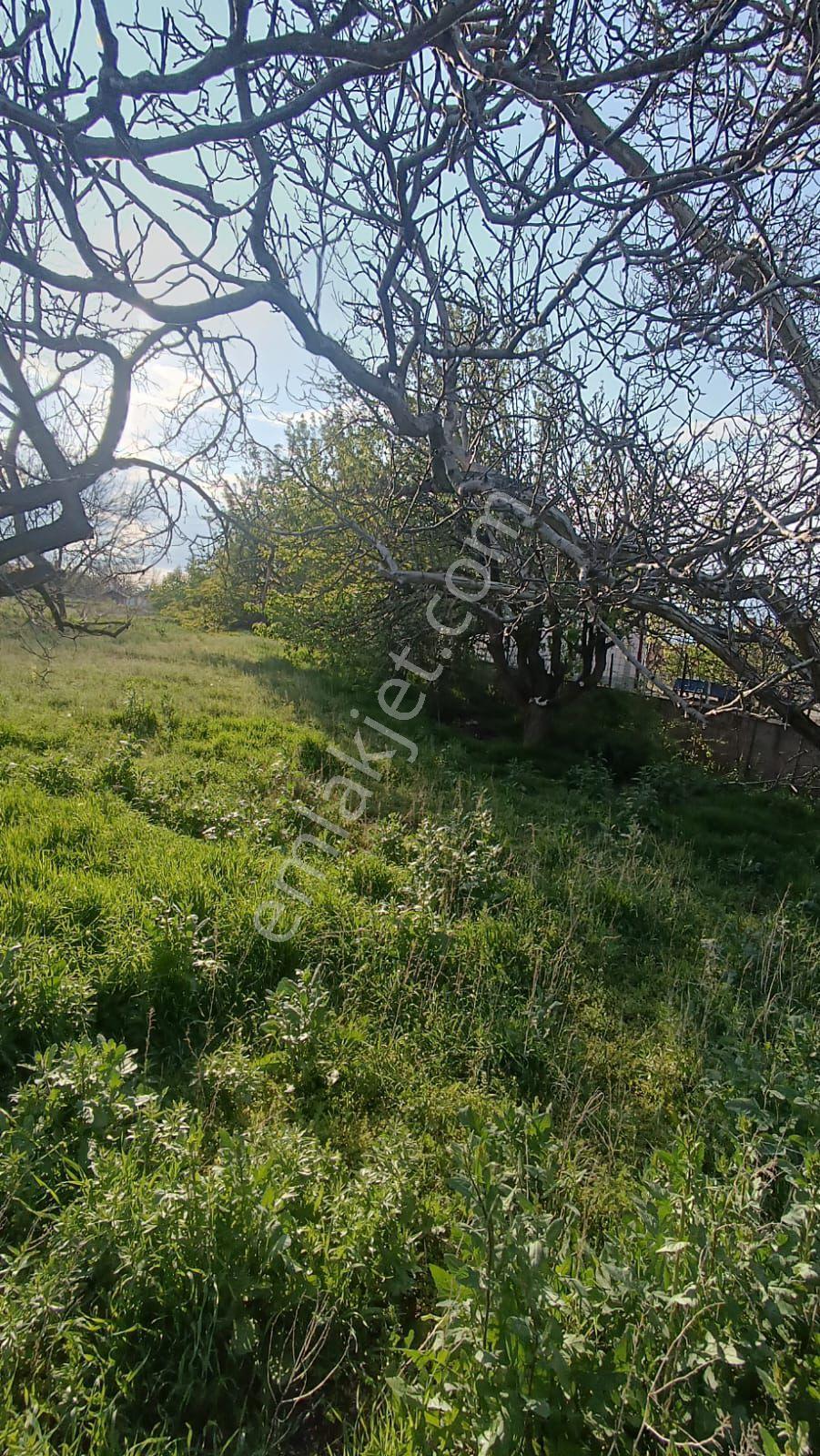 Sincan Ayaş Oltan Mah Tek Tapu 5500m2 Köy İçinde Satılık Arsa - Görsel 23