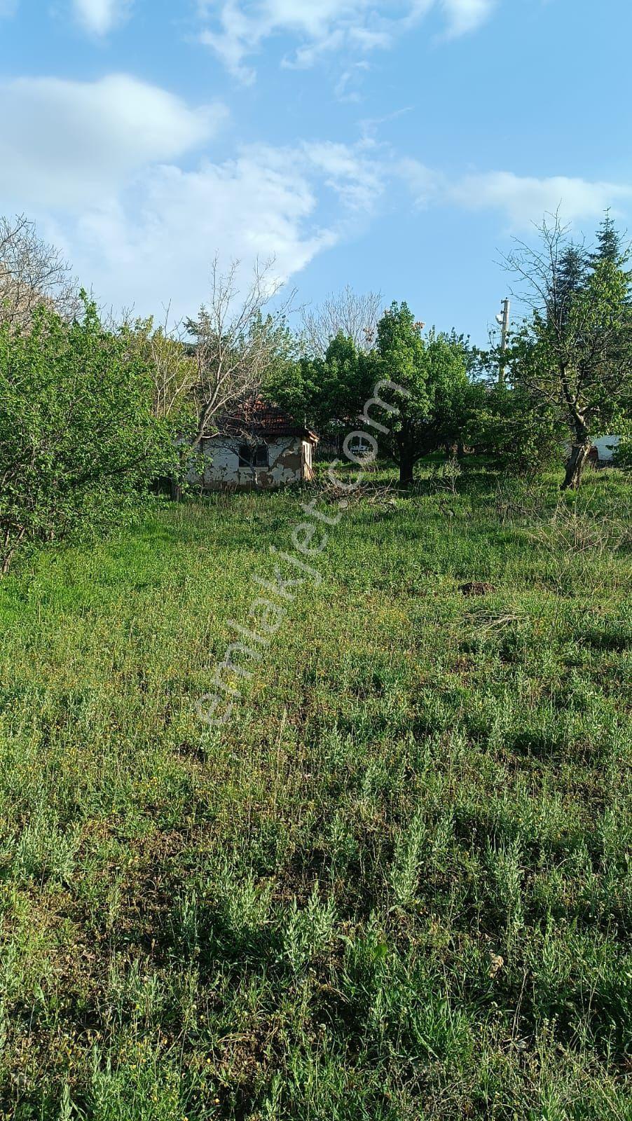 Sincan Ayaş Oltan Mah Tek Tapu 5500m2 Köy İçinde Satılık Arsa - Görsel 5