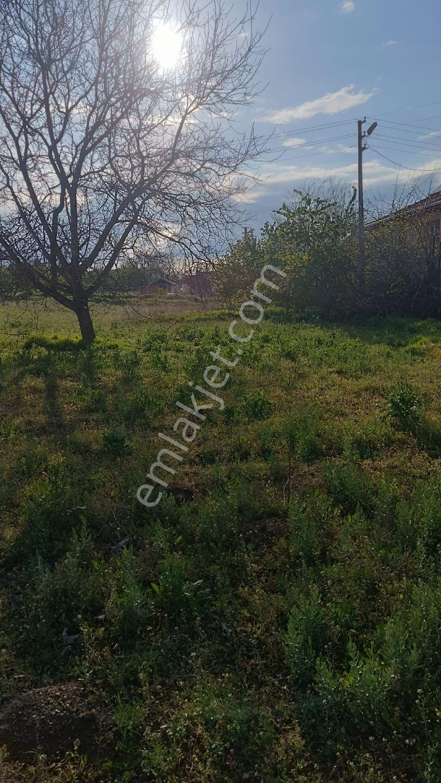 Sincan Ayaş Oltan Mah Tek Tapu 5500m2 Köy İçinde Satılık Arsa - Görsel 21
