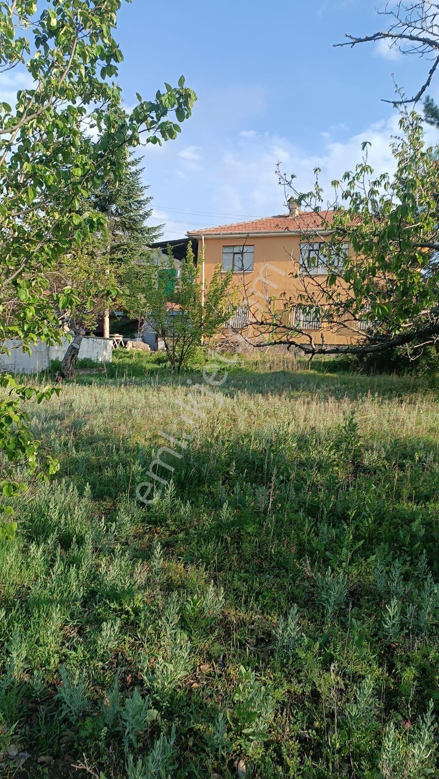Sincan Ayaş Oltan Mah Tek Tapu 5500m2 Köy İçinde Satılık Arsa - Görsel 2