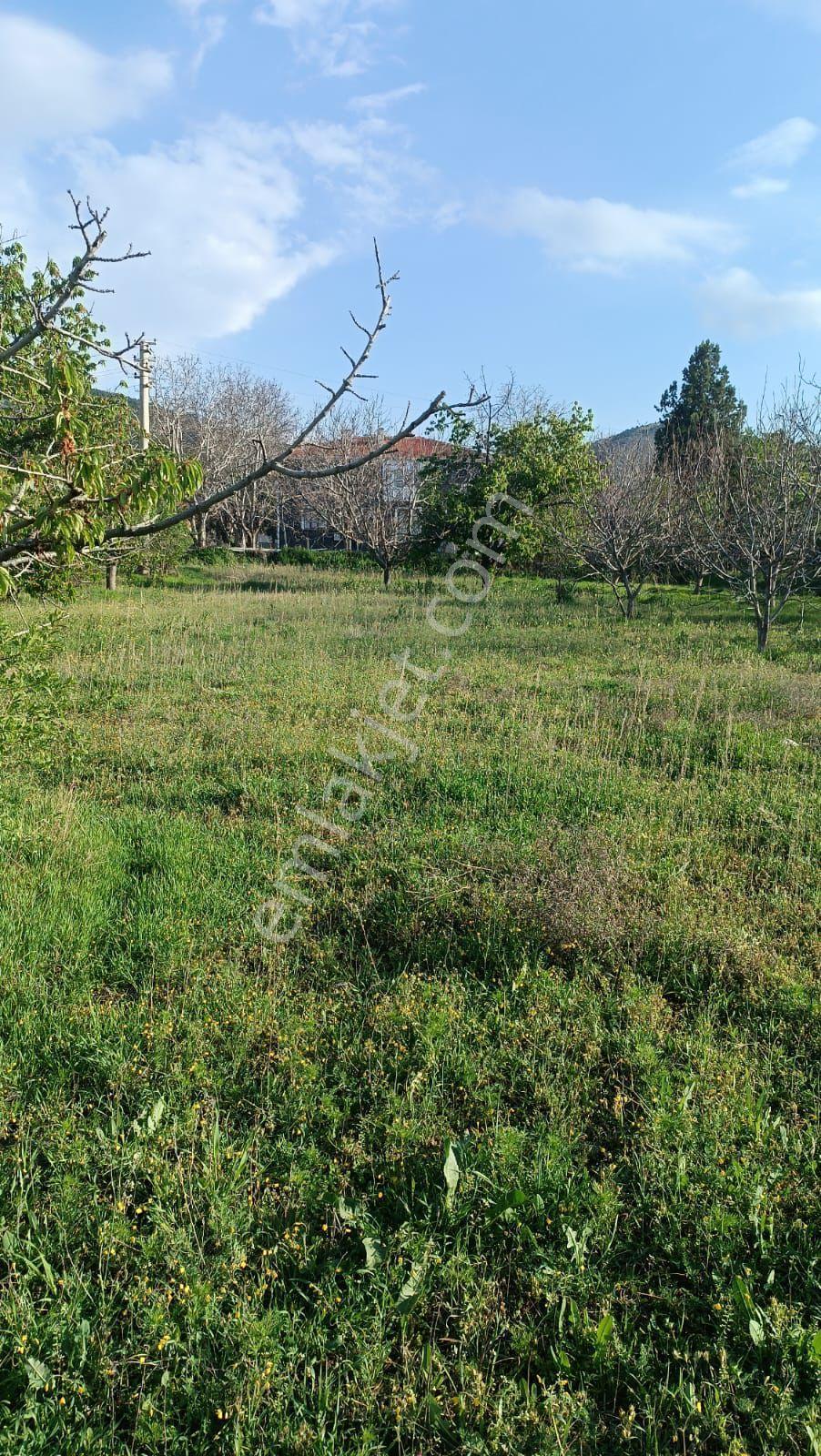 Sincan Ayaş Oltan Mah Tek Tapu 5500m2 Köy İçinde Satılık Arsa - Görsel 3