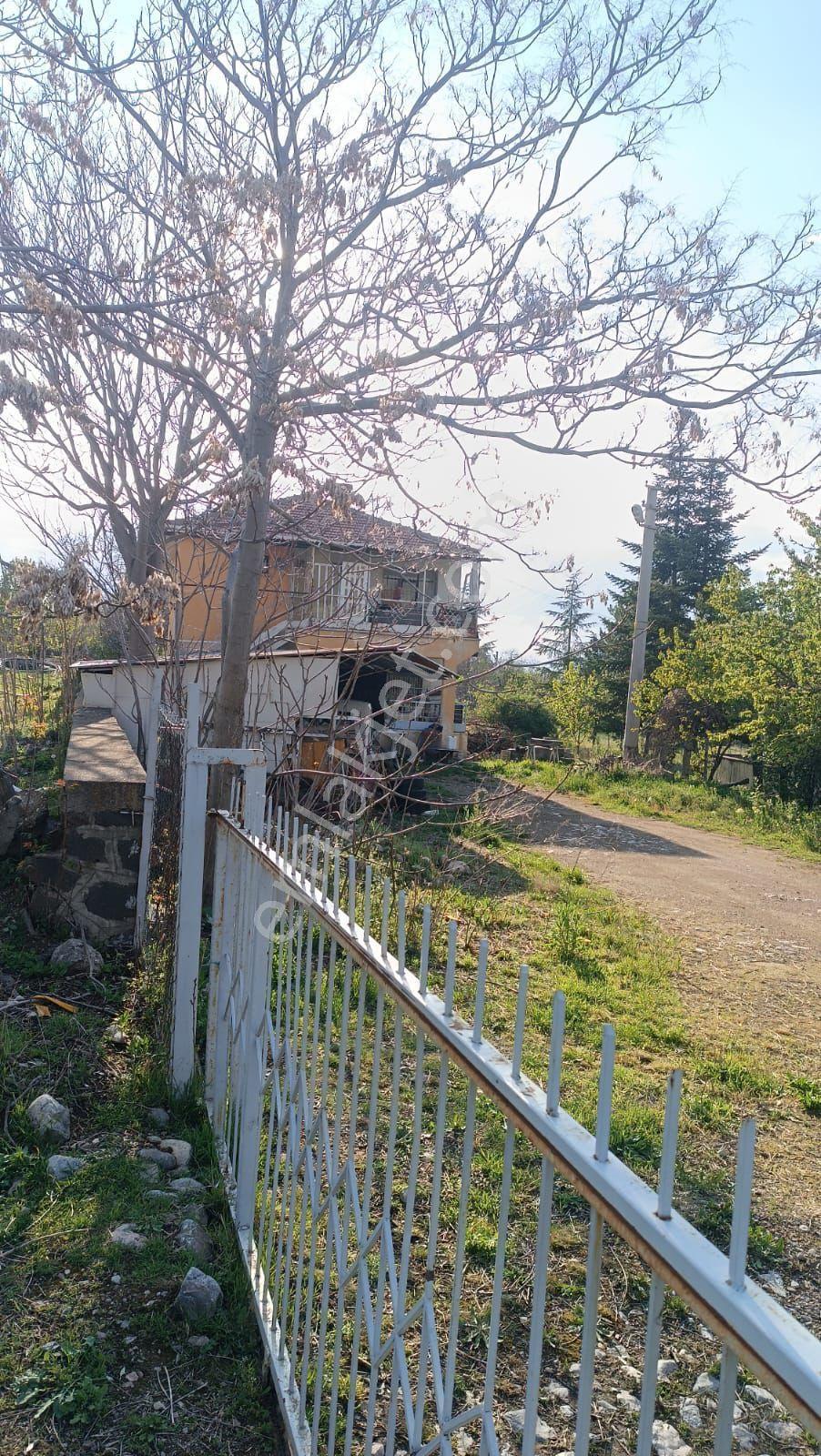 Sincan Ayaş Oltan Mah Tek Tapu 5500m2 Köy İçinde Satılık Arsa - Görsel 13