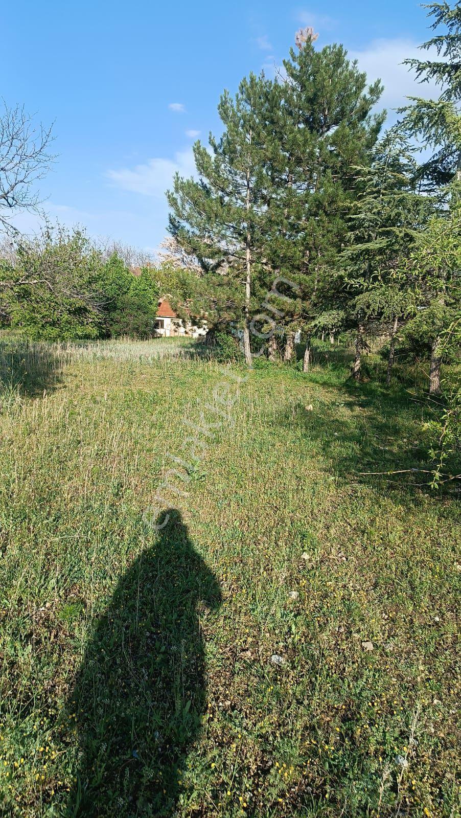 Sincan Ayaş Oltan Mah Tek Tapu 5500m2 Köy İçinde Satılık Arsa - Görsel 29
