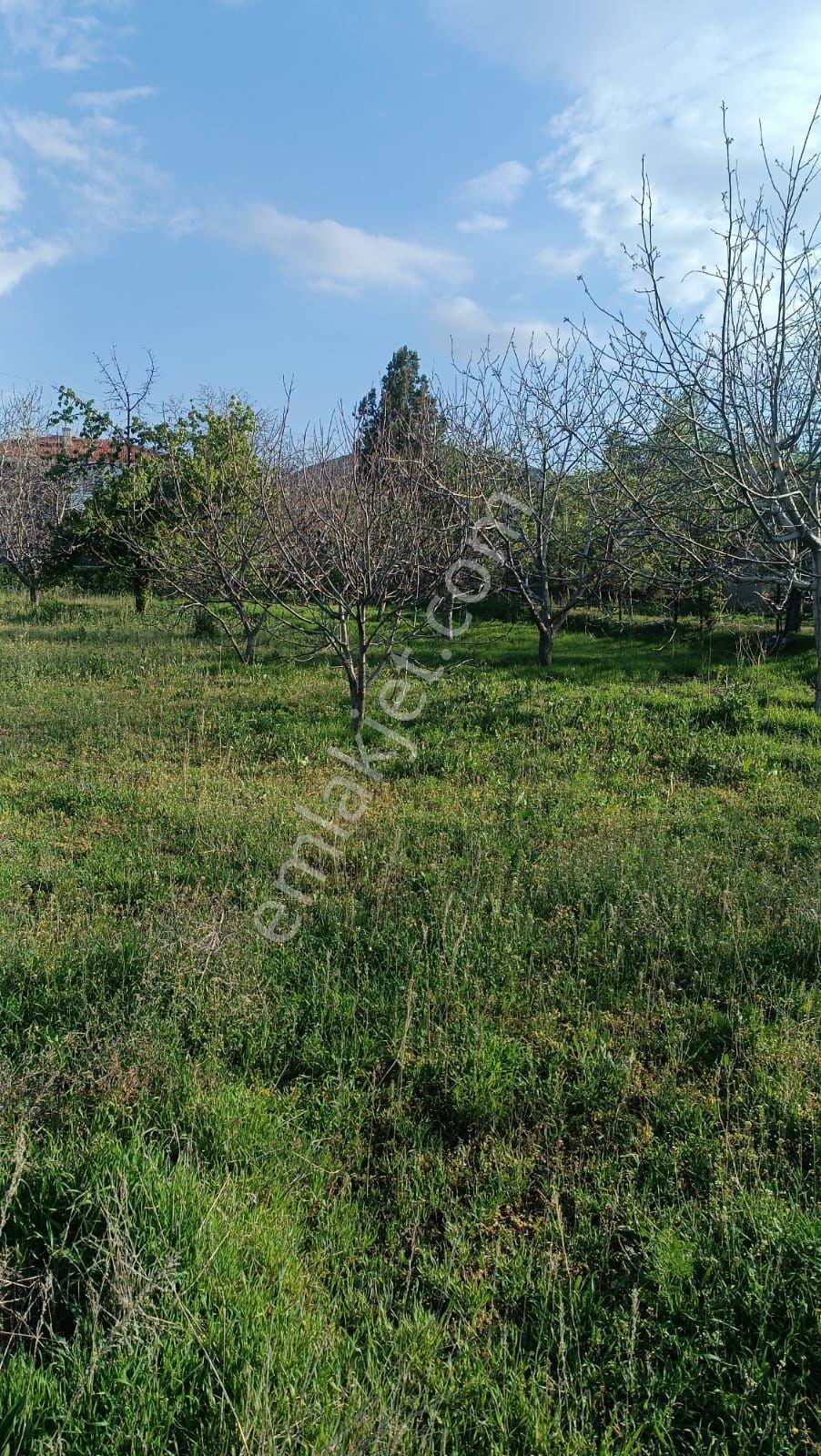 Sincan Ayaş Oltan Mah Tek Tapu 5500m2 Köy İçinde Satılık Arsa - Görsel 11