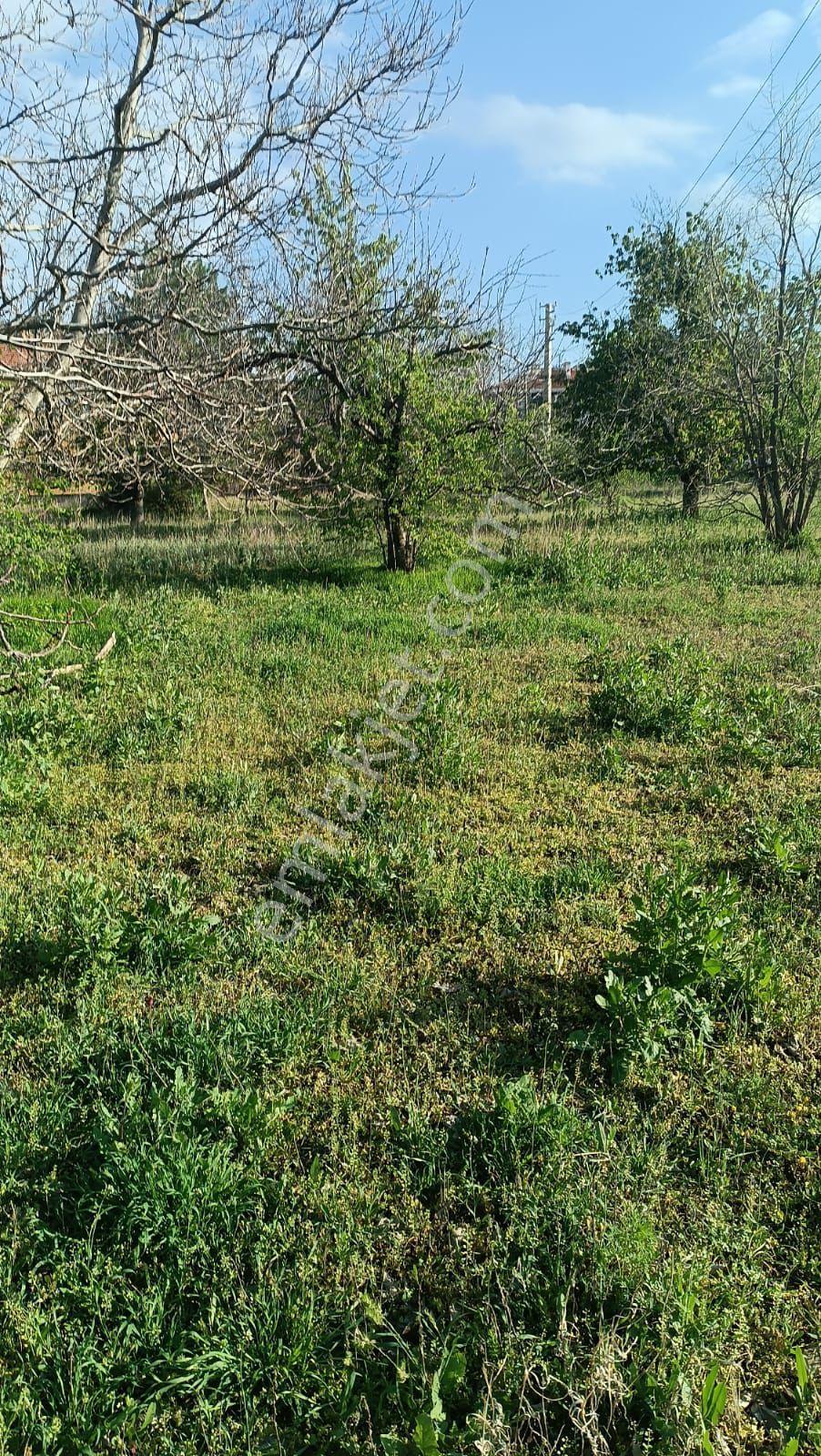 Sincan Ayaş Oltan Mah Tek Tapu 5500m2 Köy İçinde Satılık Arsa - Görsel 12