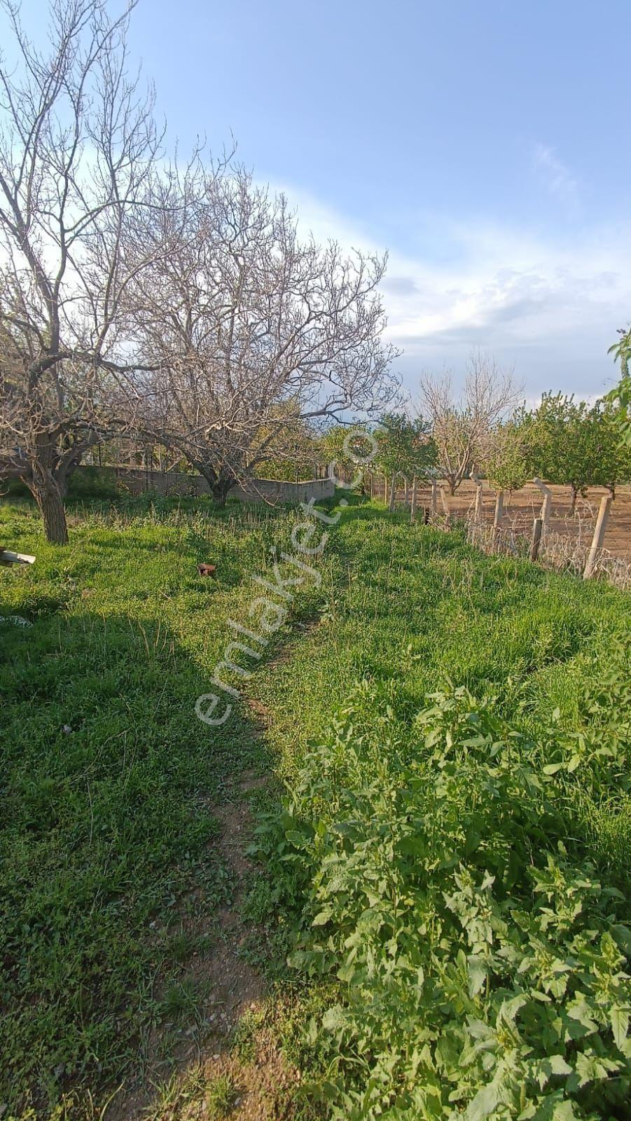 Sincan Ayaş Oltan Mah Tek Tapu 5500m2 Köy İçinde Satılık Arsa - Görsel 14