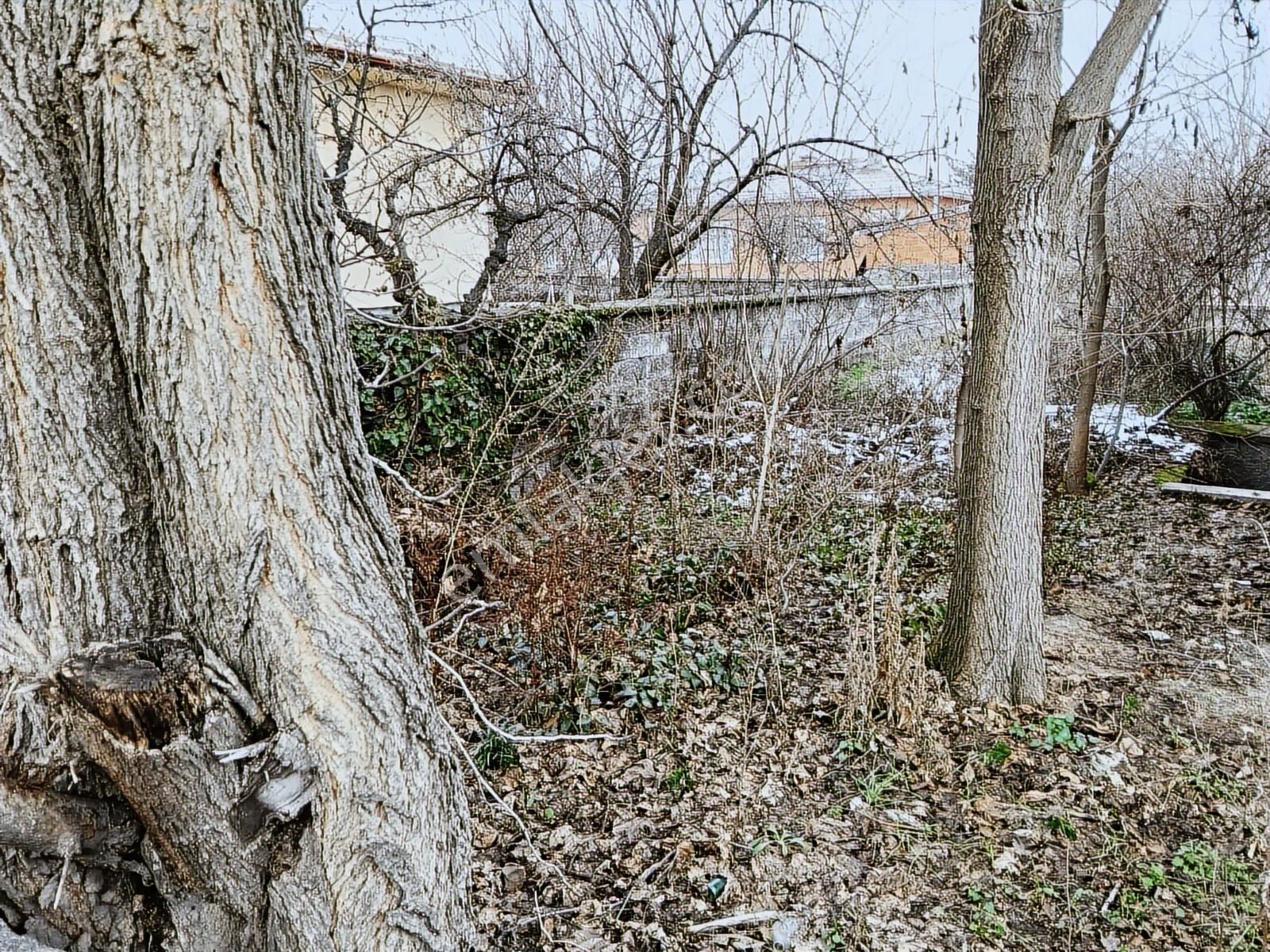 Arena Emlak'tan Köşe Başı 501 M2 Müstakil Bahçeli Ev Fiyat Düştü - Görsel 7