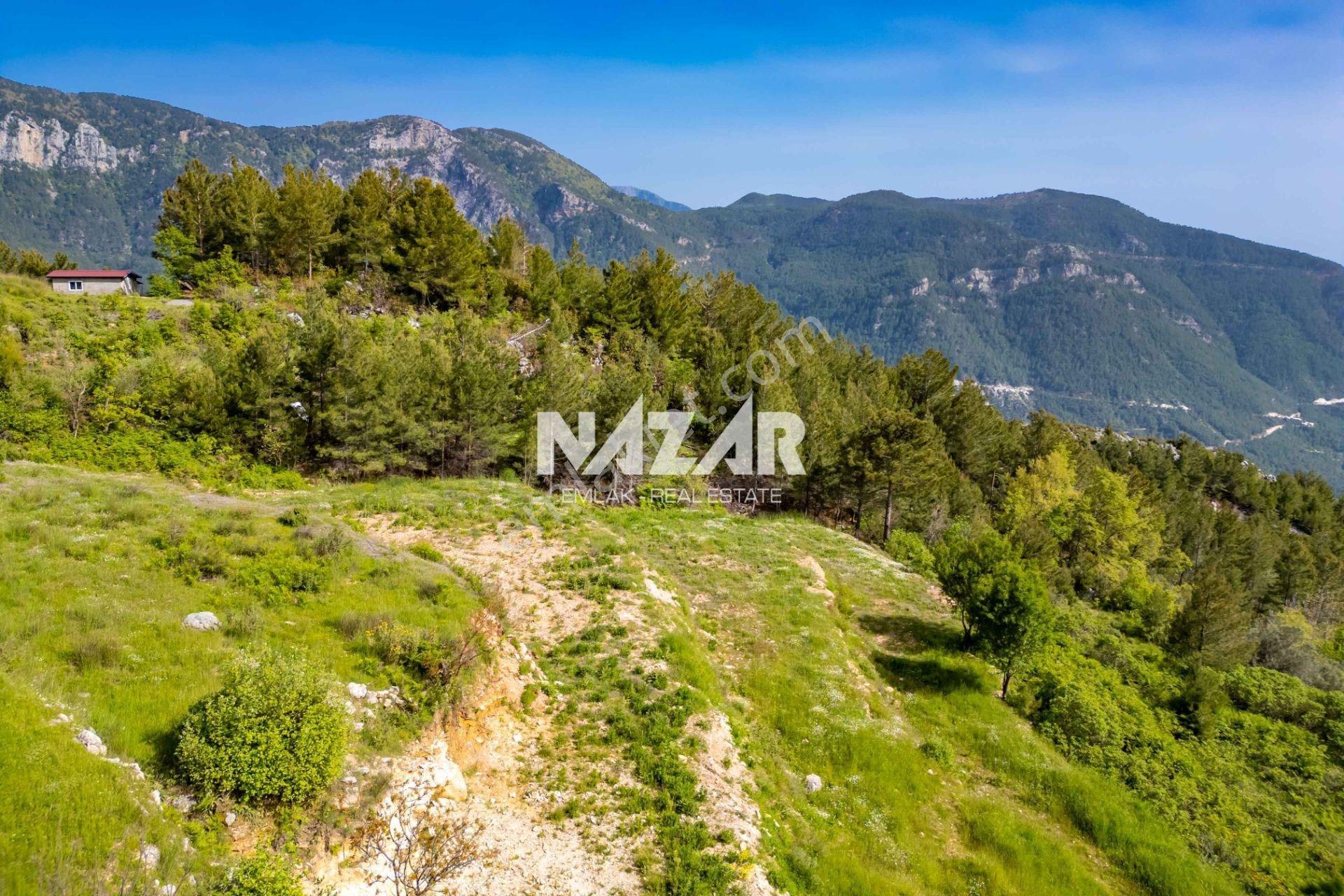 Alanya Bademağacı’nda 2.176 M² Satılık Deniz Ve Kale Manzaralı Tarla - Görsel 12