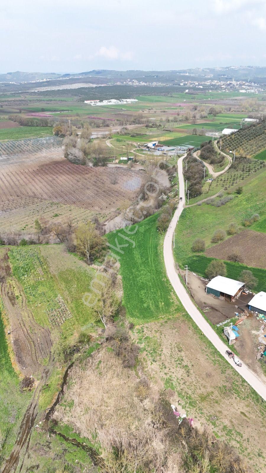 Bahar'dan Yolçatı'da Halin Yanında Asfalt'a Cephe Tarla - Görsel 25