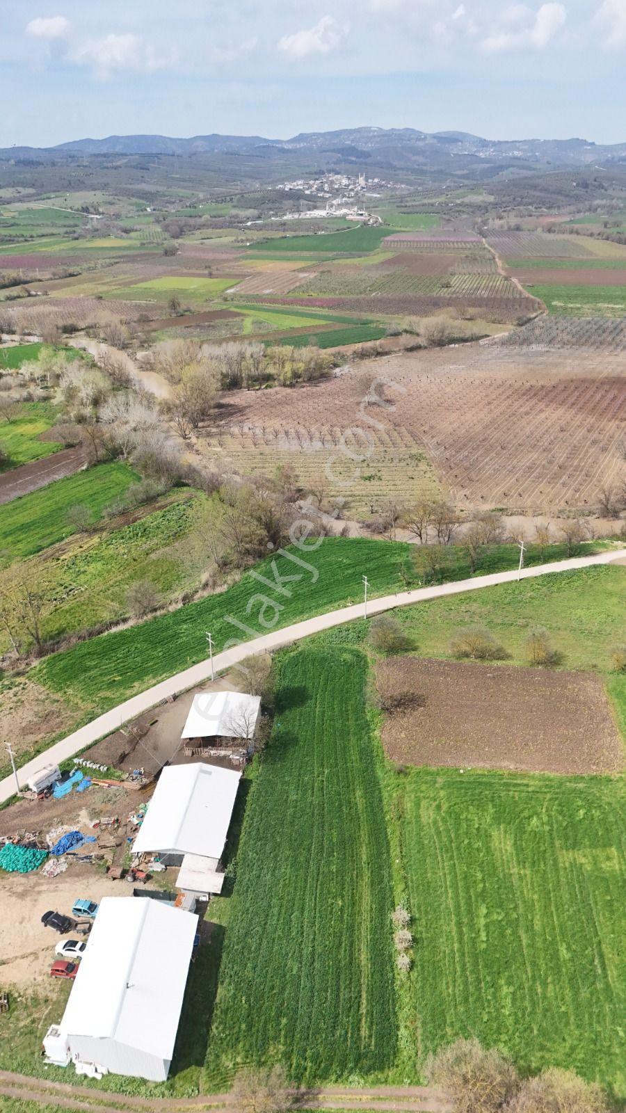 Bahar'dan Yolçatı'da Halin Yanında Asfalt'a Cephe Tarla - Görsel 29