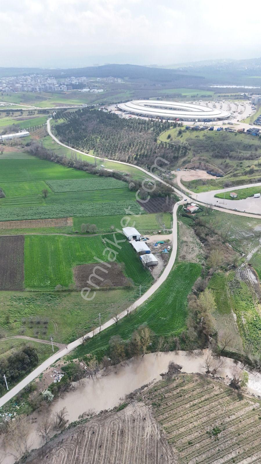Bahar'dan Yolçatı'da Halin Yanında Asfalt'a Cephe Tarla - Görsel 34