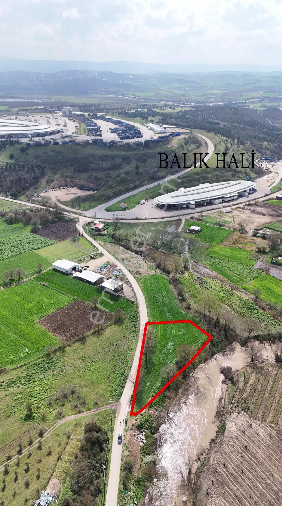Bahar'dan Yolçatı'da Halin Yanında Asfalt'a Cephe Tarla - Görsel 9