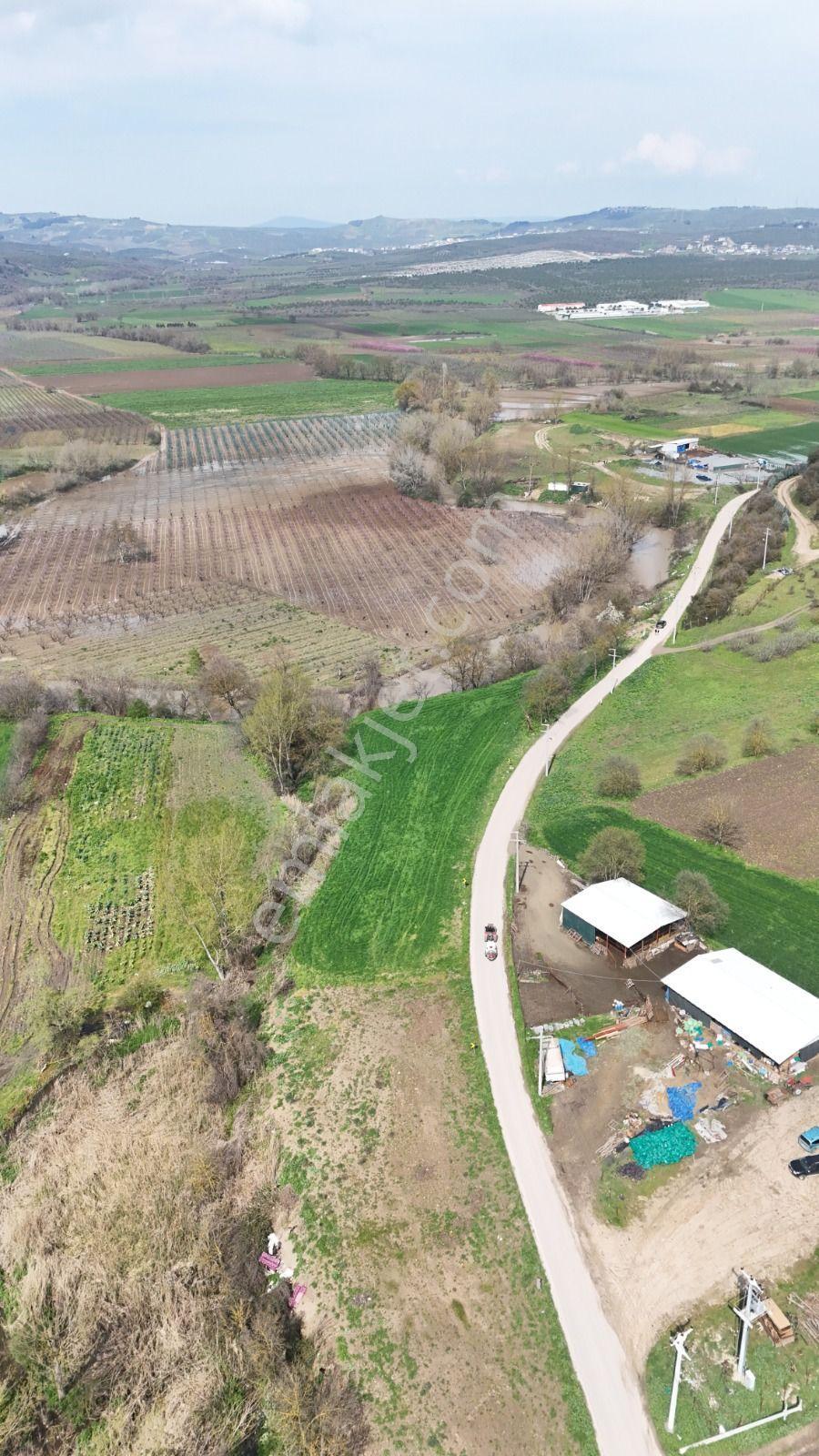 Bahar'dan Yolçatı'da Halin Yanında Asfalt'a Cephe Tarla - Görsel 26