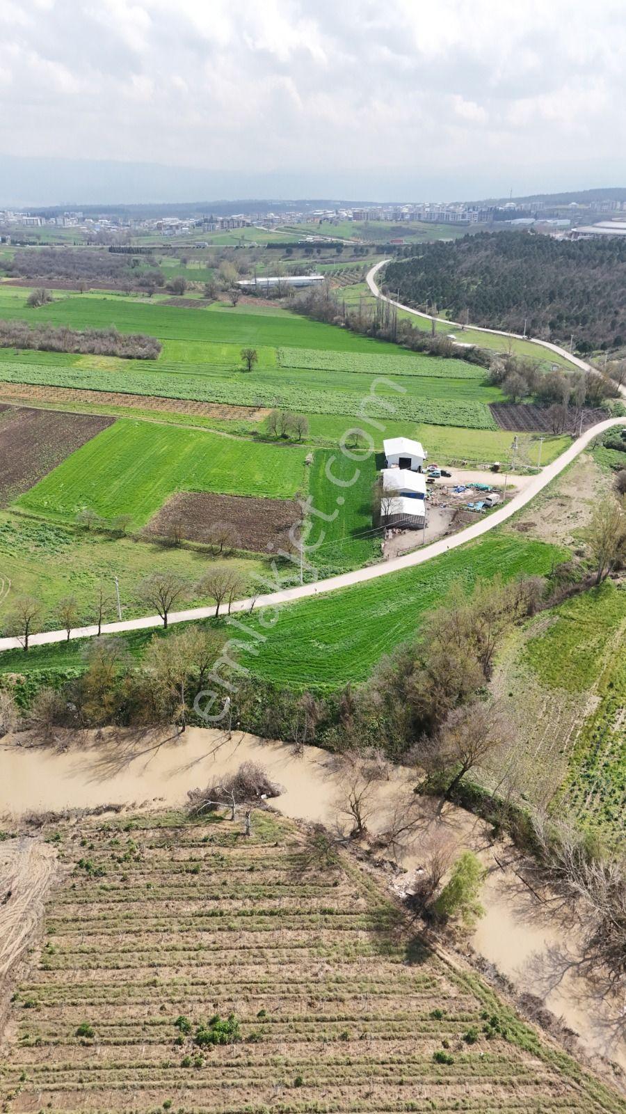 Bahar'dan Yolçatı'da Halin Yanında Asfalt'a Cephe Tarla - Görsel 19
