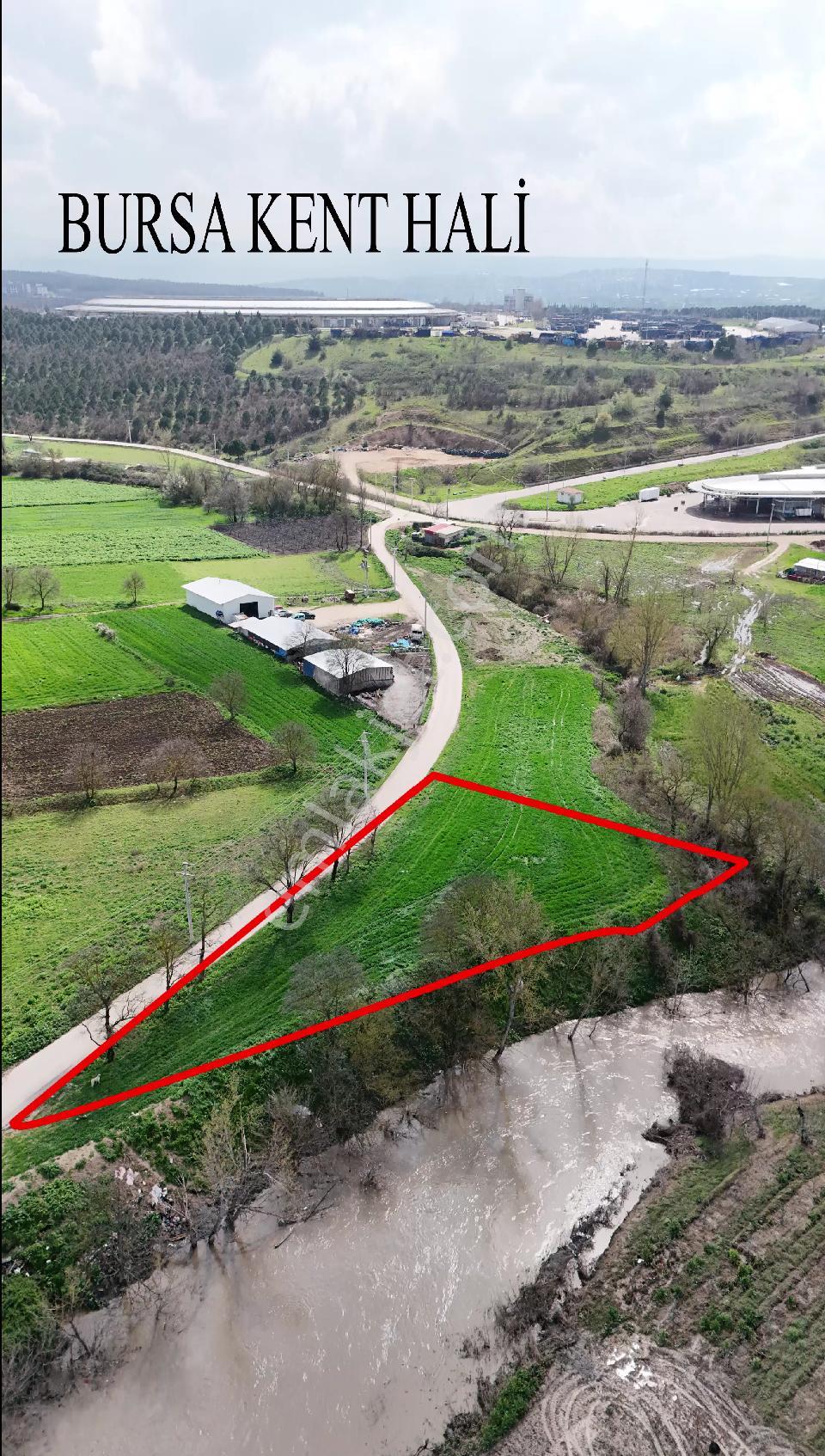 Bahar'dan Yolçatı'da Halin Yanında Asfalt'a Cephe Tarla - Görsel 6