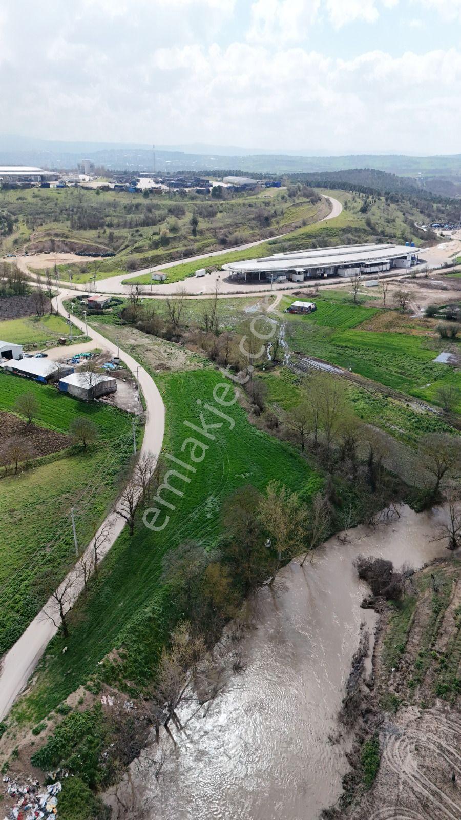 Bahar'dan Yolçatı'da Halin Yanında Asfalt'a Cephe Tarla - Görsel 14