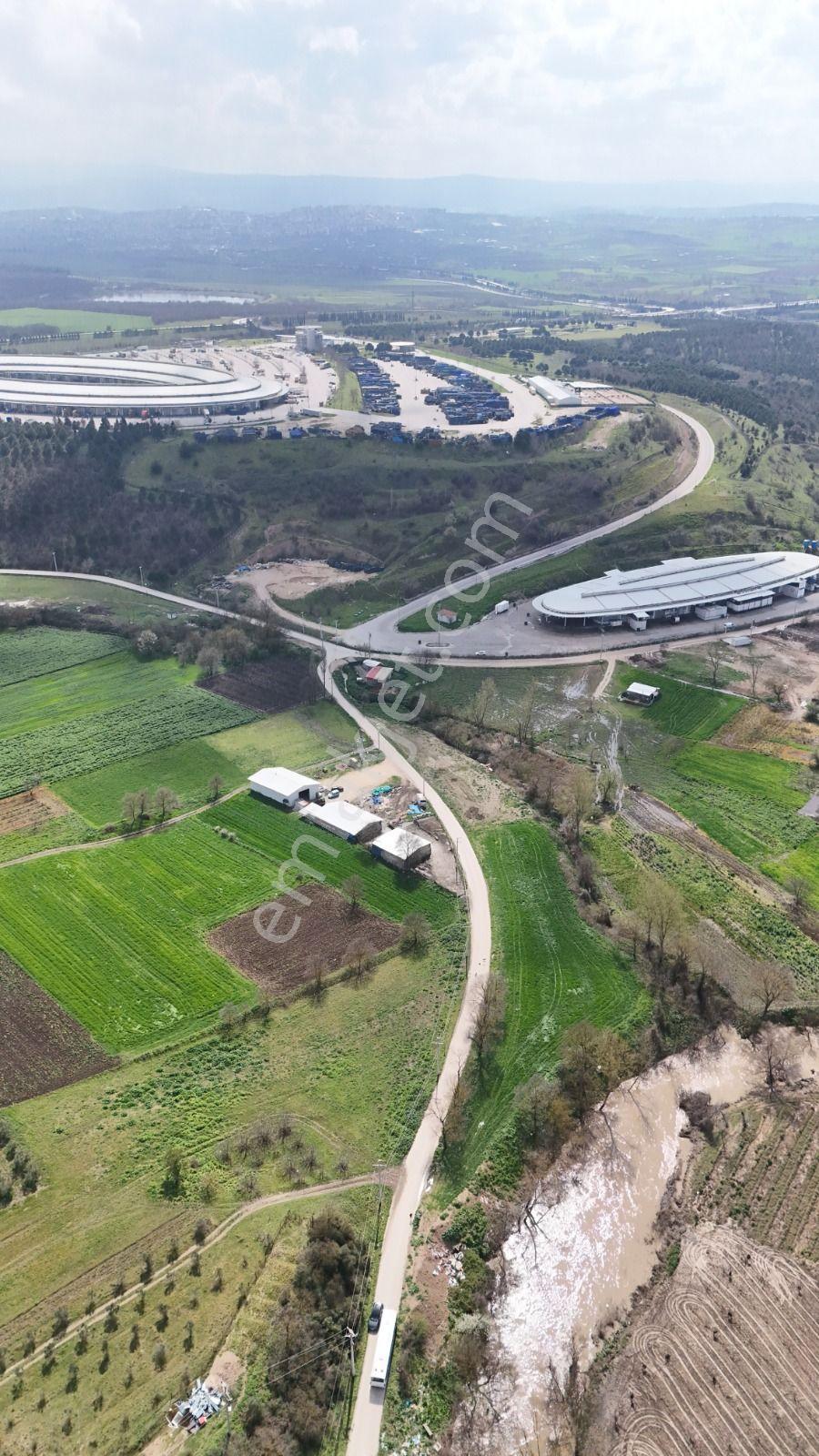 Bahar'dan Yolçatı'da Halin Yanında Asfalt'a Cephe Tarla - Görsel 33