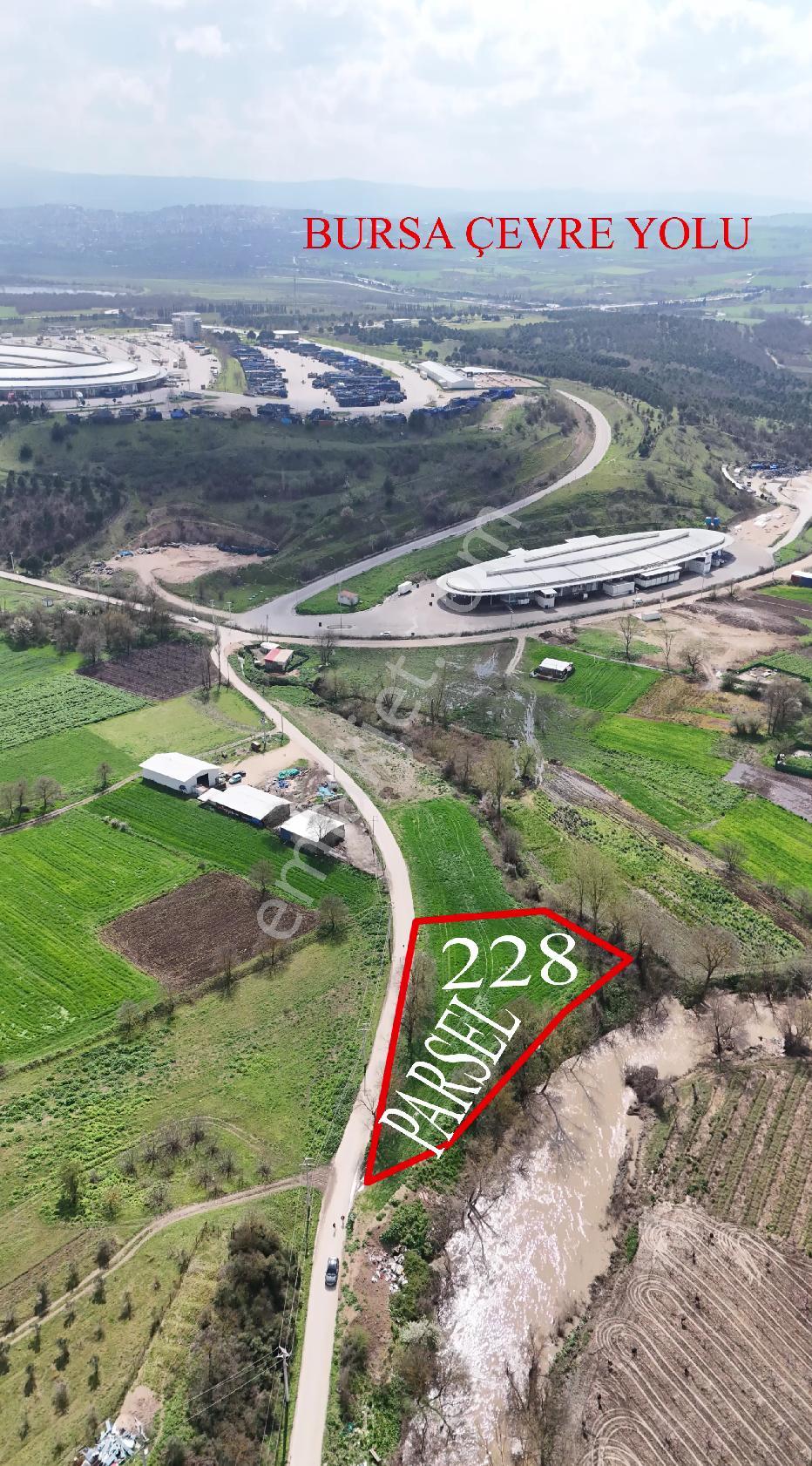 Bahar'dan Yolçatı'da Halin Yanında Asfalt'a Cephe Tarla - Görsel 11