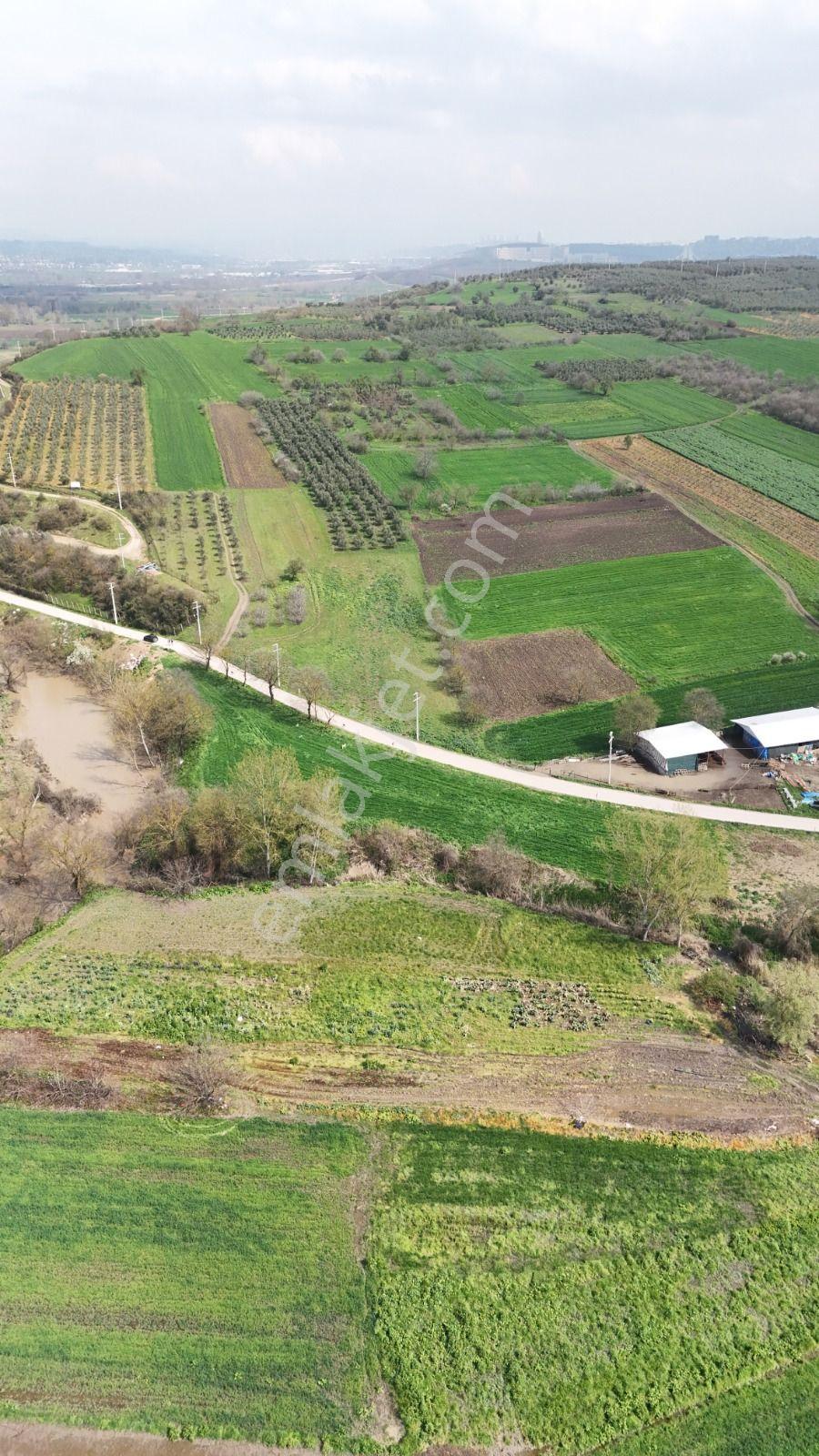 Bahar'dan Yolçatı'da Halin Yanında Asfalt'a Cephe Tarla - Görsel 20