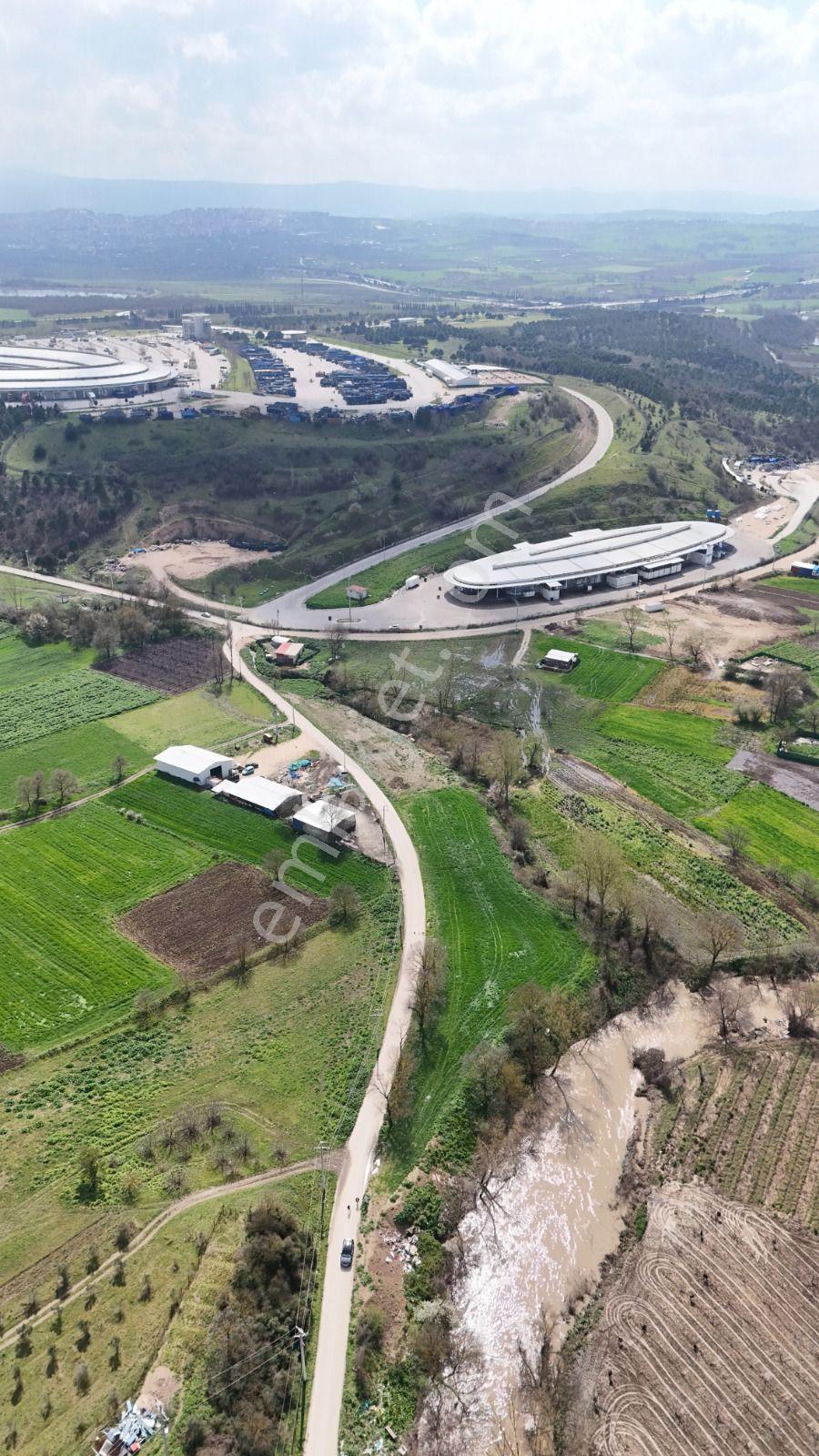 Bahar'dan Yolçatı'da Halin Yanında Asfalt'a Cephe Tarla - Görsel 30