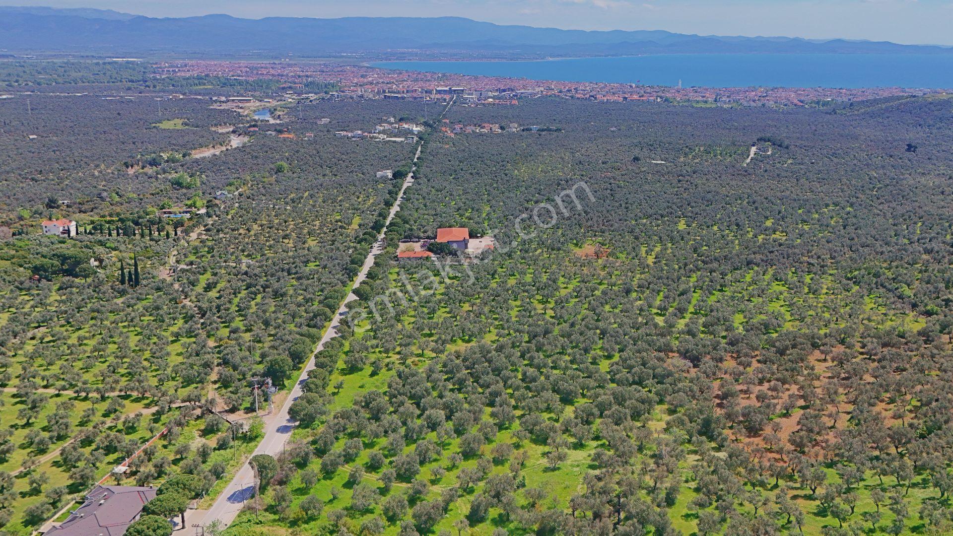 Körfezde Lansmana Özel Fiyat Deniz Ve Kazdağı Manzaralı Villa - Görsel 8