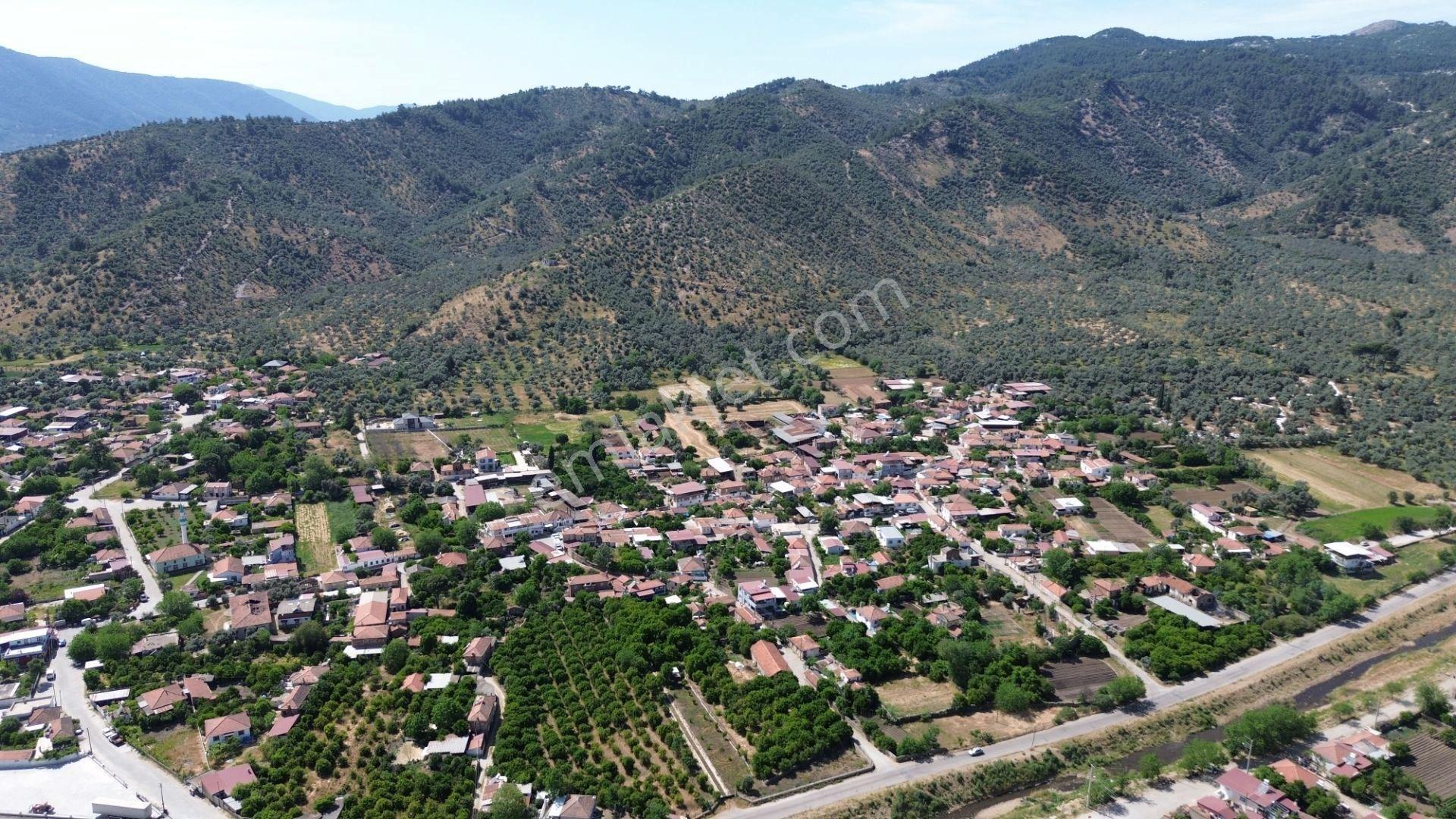 Milas Derince' De Köy Yerleşik Alanı İçerisinde Satılık Arsa - Görsel 4