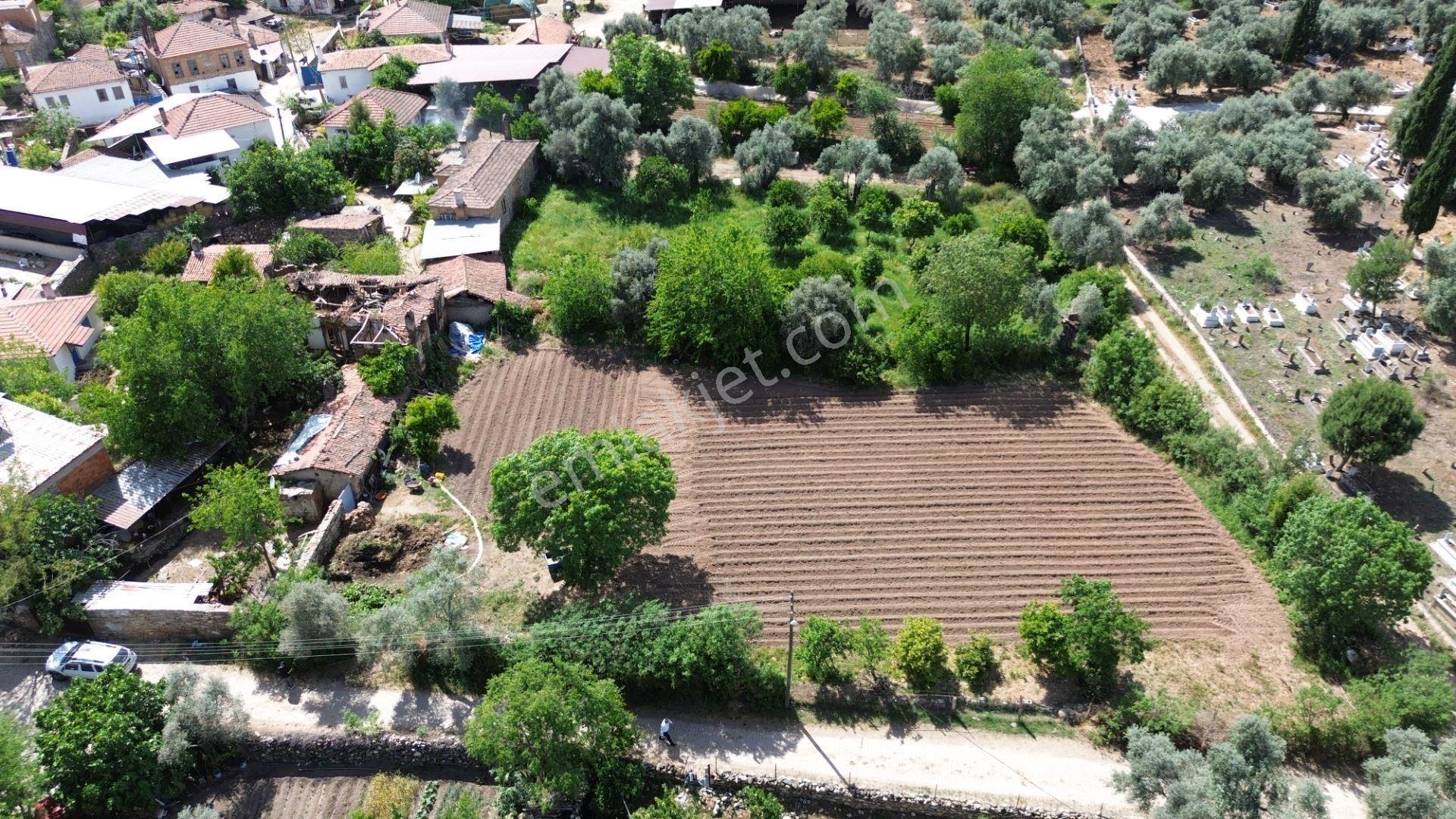 Milas Derince' De Köy Yerleşik Alanı İçerisinde Satılık Arsa - Görsel 6
