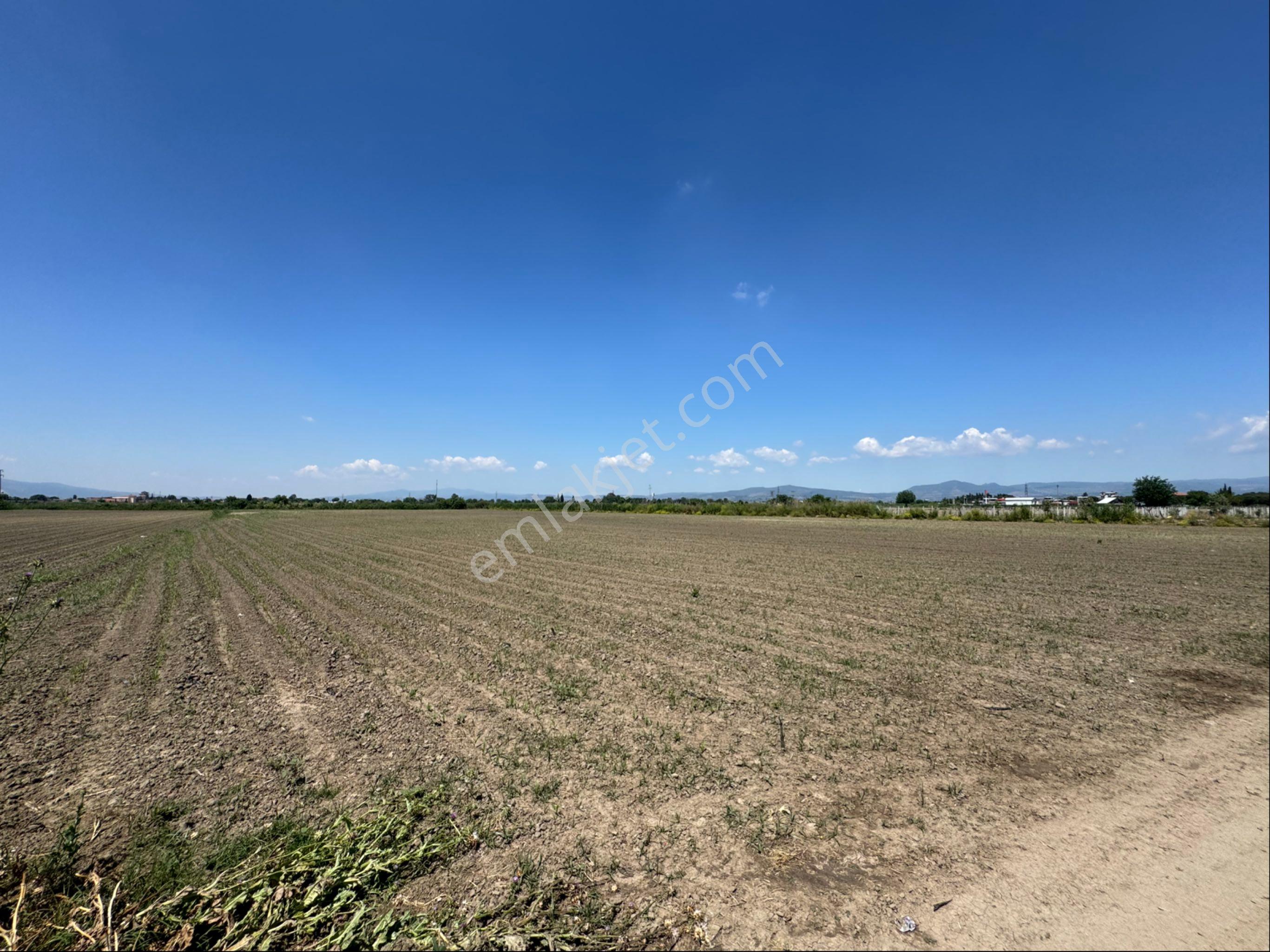 Manisa Şehzadeler Merkez Yeniköy’ De Satılık 14.100 M2 Arazimiz - Görsel 4