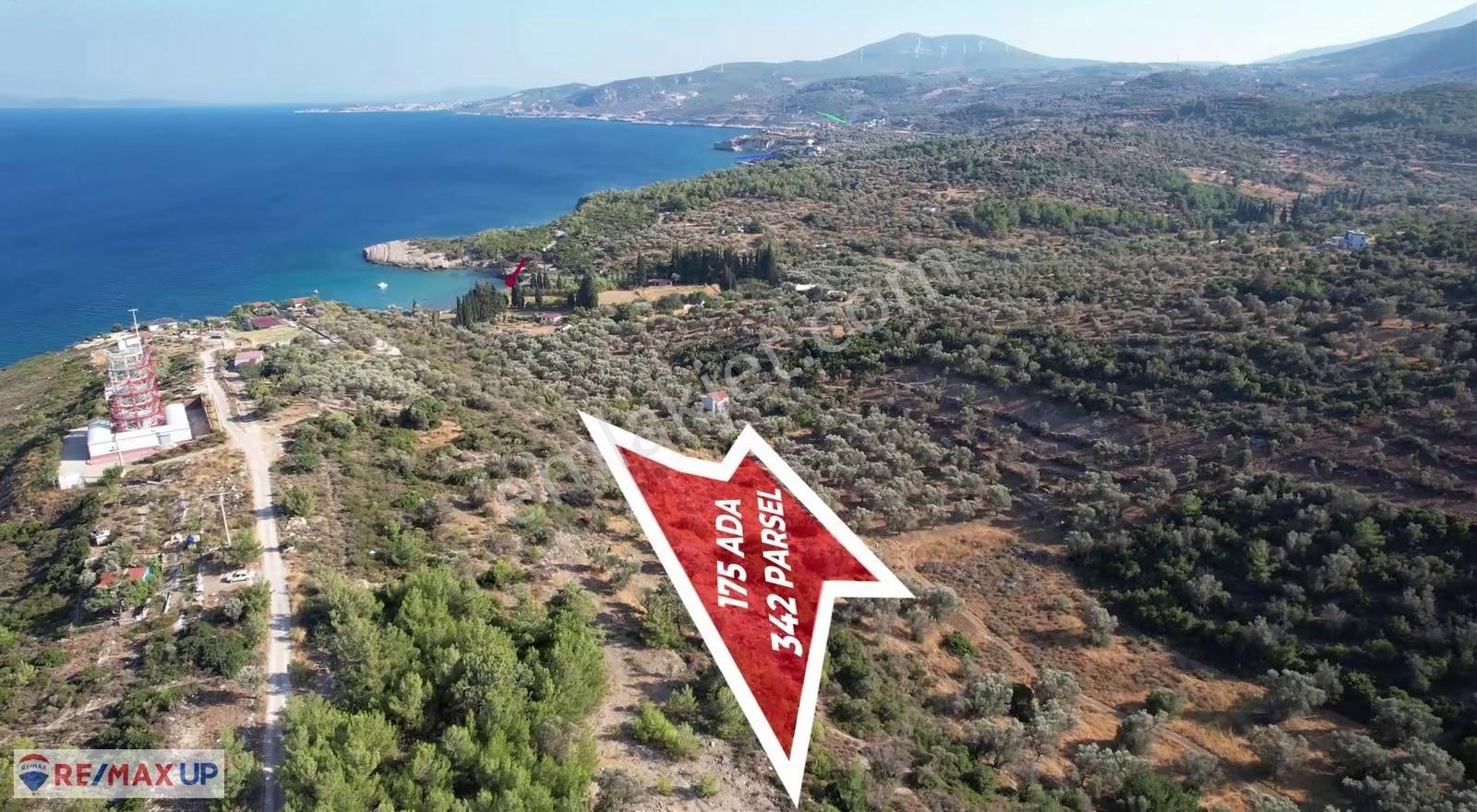 Anbarseki Mah. 4806 M2 Denize Yakın Tarla - Görsel 10