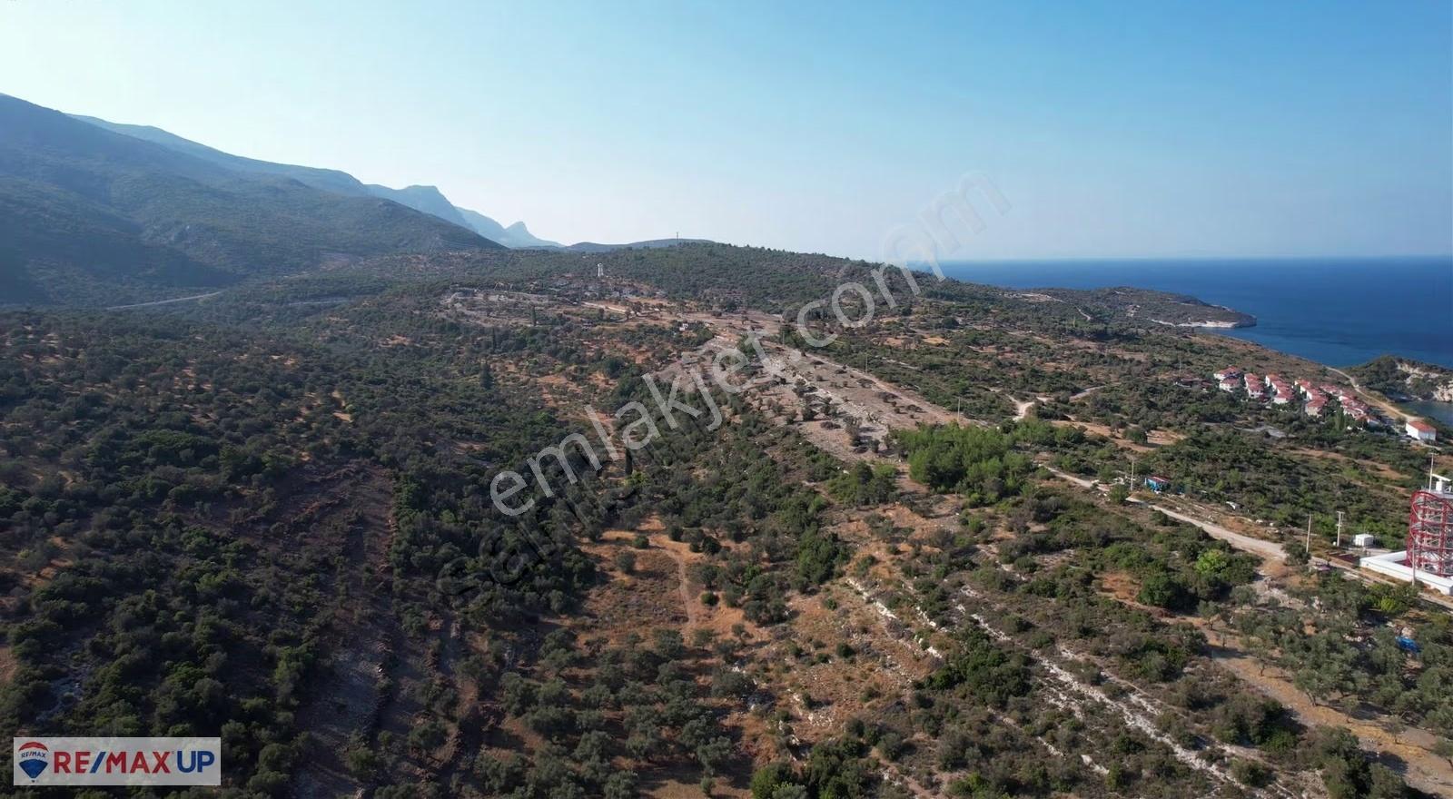 Anbarseki Mah. 4806 M2 Denize Yakın Tarla - Görsel 5
