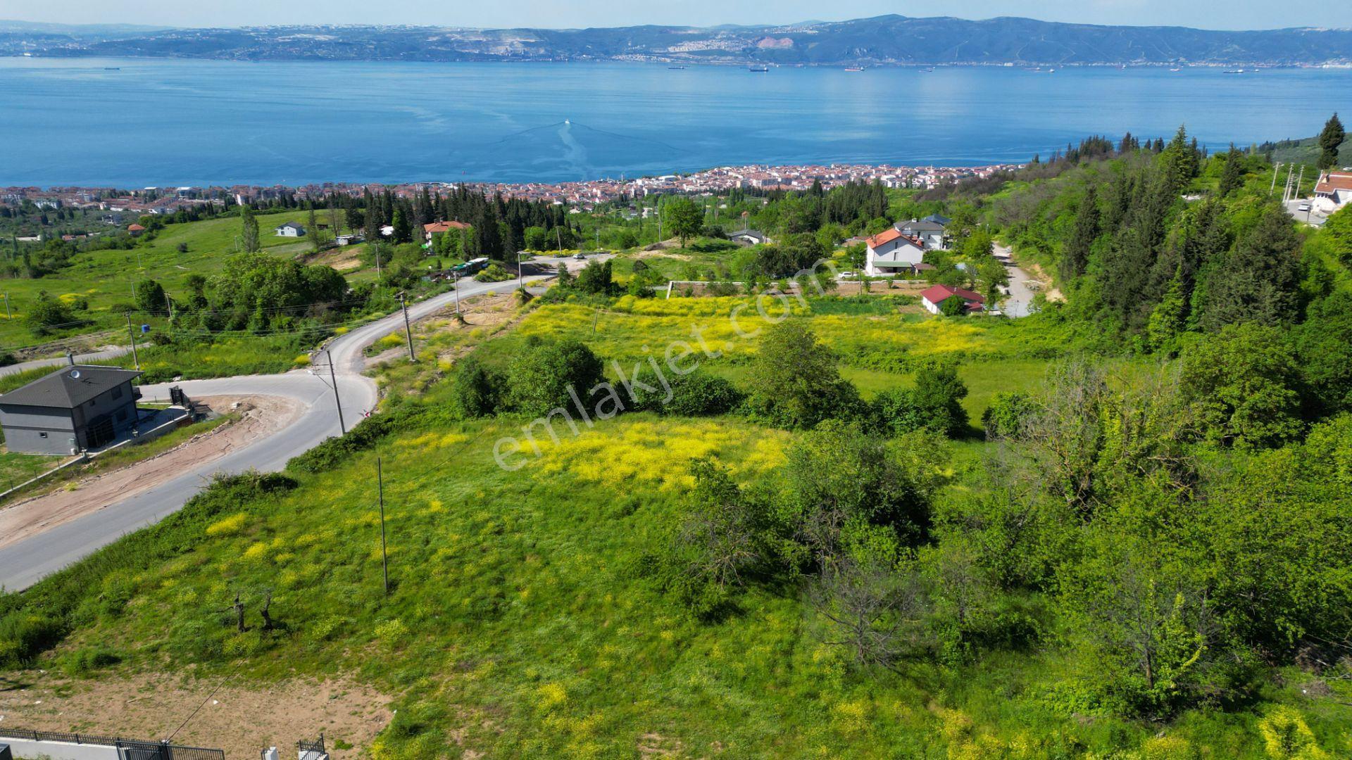 Uzmanlar'dan Karamürsel Karapınar Satılık Konut İmarlı 1144 M2 Arsa - Görsel 12