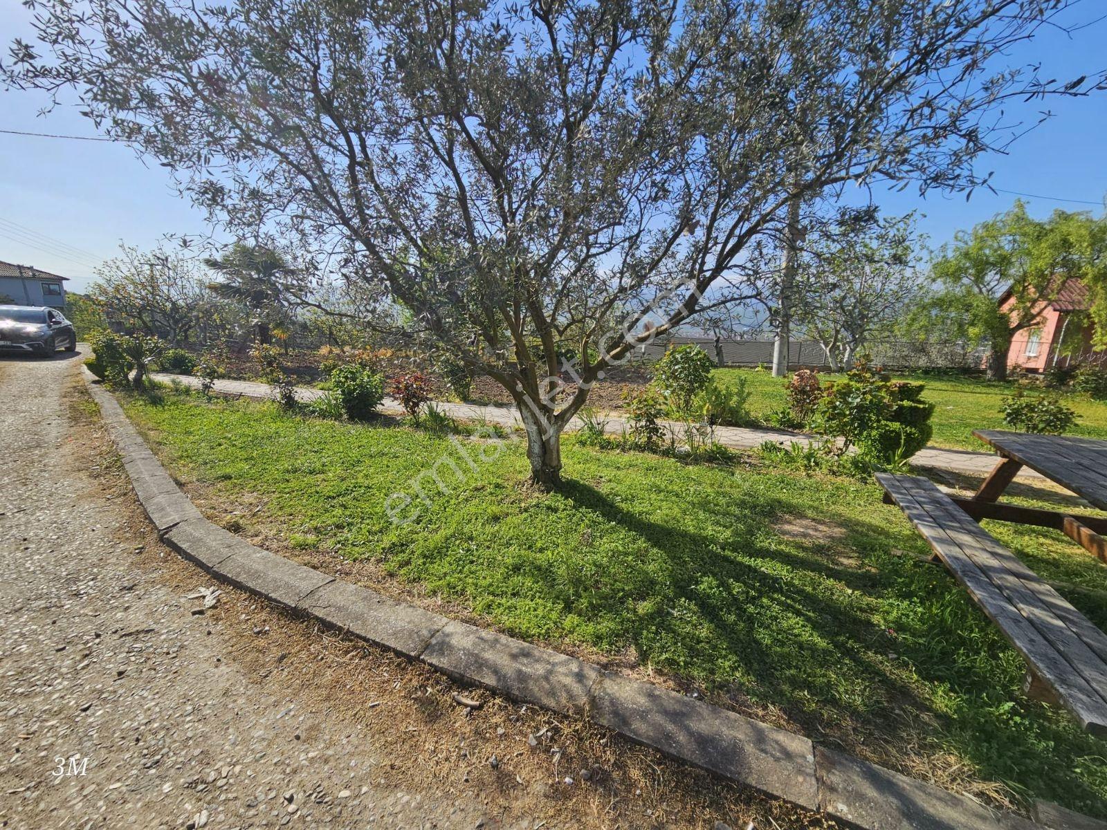 Acil!!! Geyve Hırka 6+1 Tripleks Villa 1200m2 Arsa İçinde Fırsat - Görsel 11