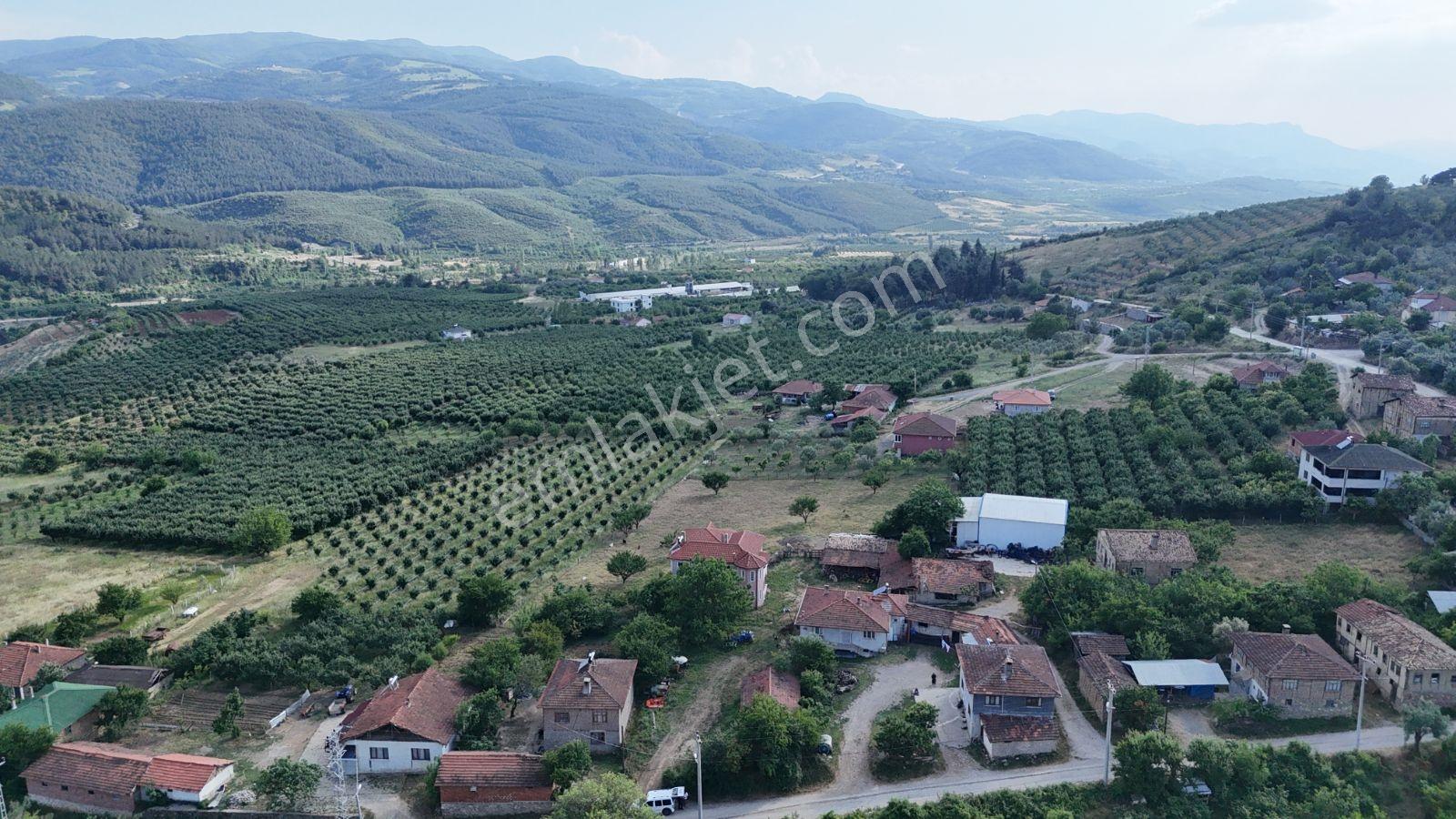 Sakarya Geyve 695 M2 %40 İmarlı İçinde Yapı Mevcut Fırsat Arsa - Görsel 12