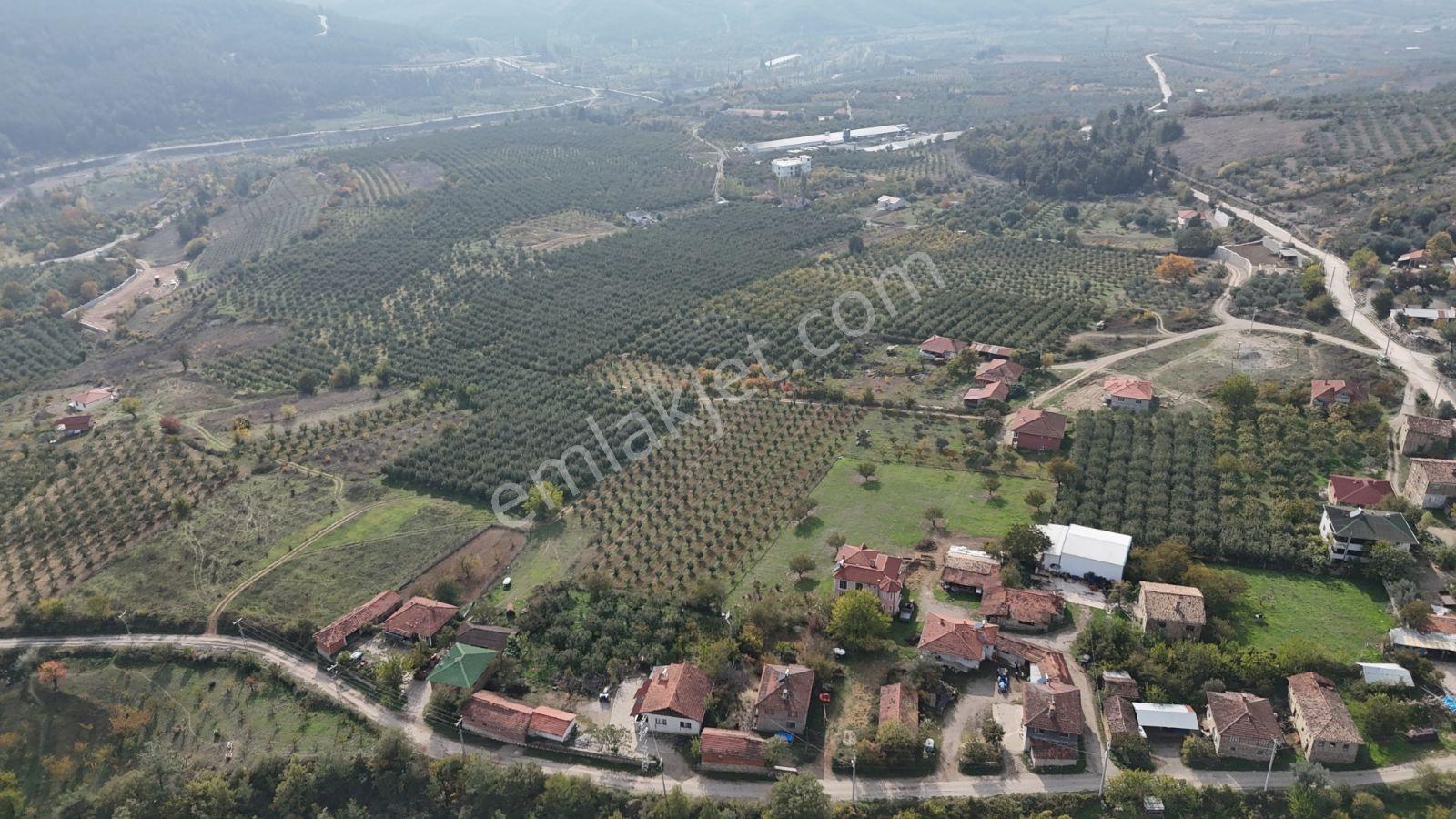 Sakarya Geyve 695 M2 %40 İmarlı İçinde Yapı Mevcut Fırsat Arsa - Görsel 7