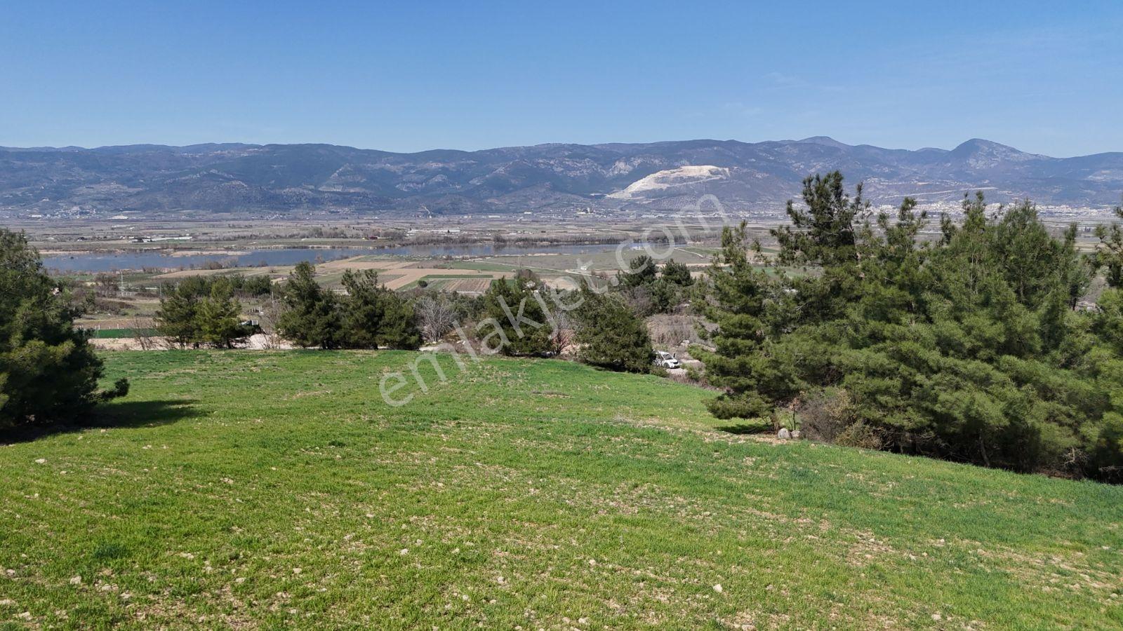 Sakarya Kozan Fırsat 6560 M2 Sakarya Nehri Manzaralı Köye 300 Mt - Görsel 33