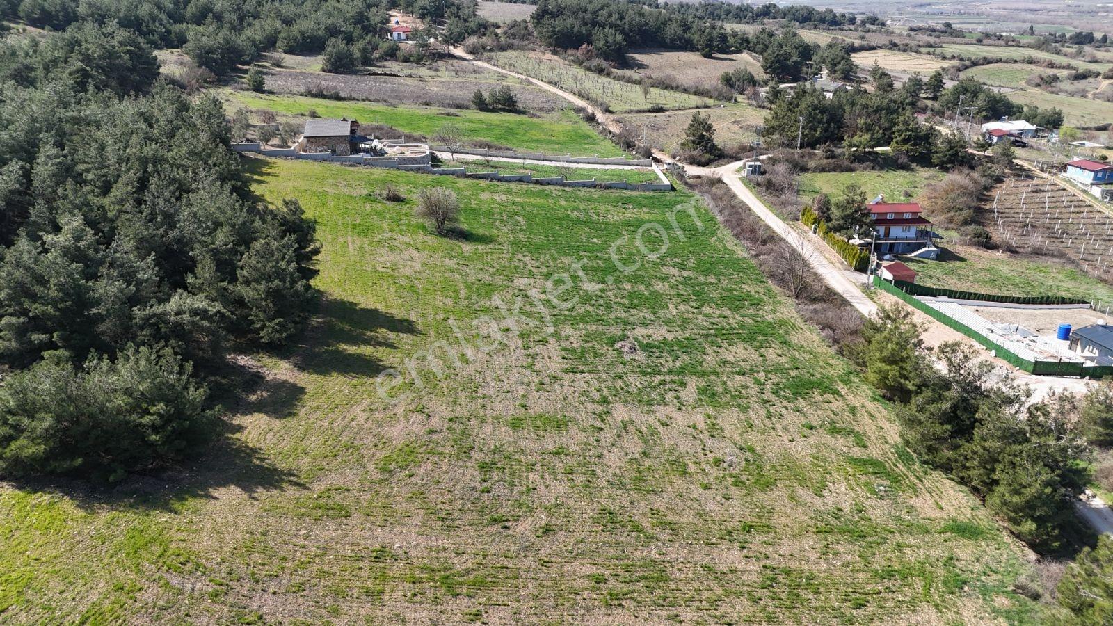 Sakarya Kozan Fırsat 6560 M2 Sakarya Nehri Manzaralı Köye 300 Mt - Görsel 16
