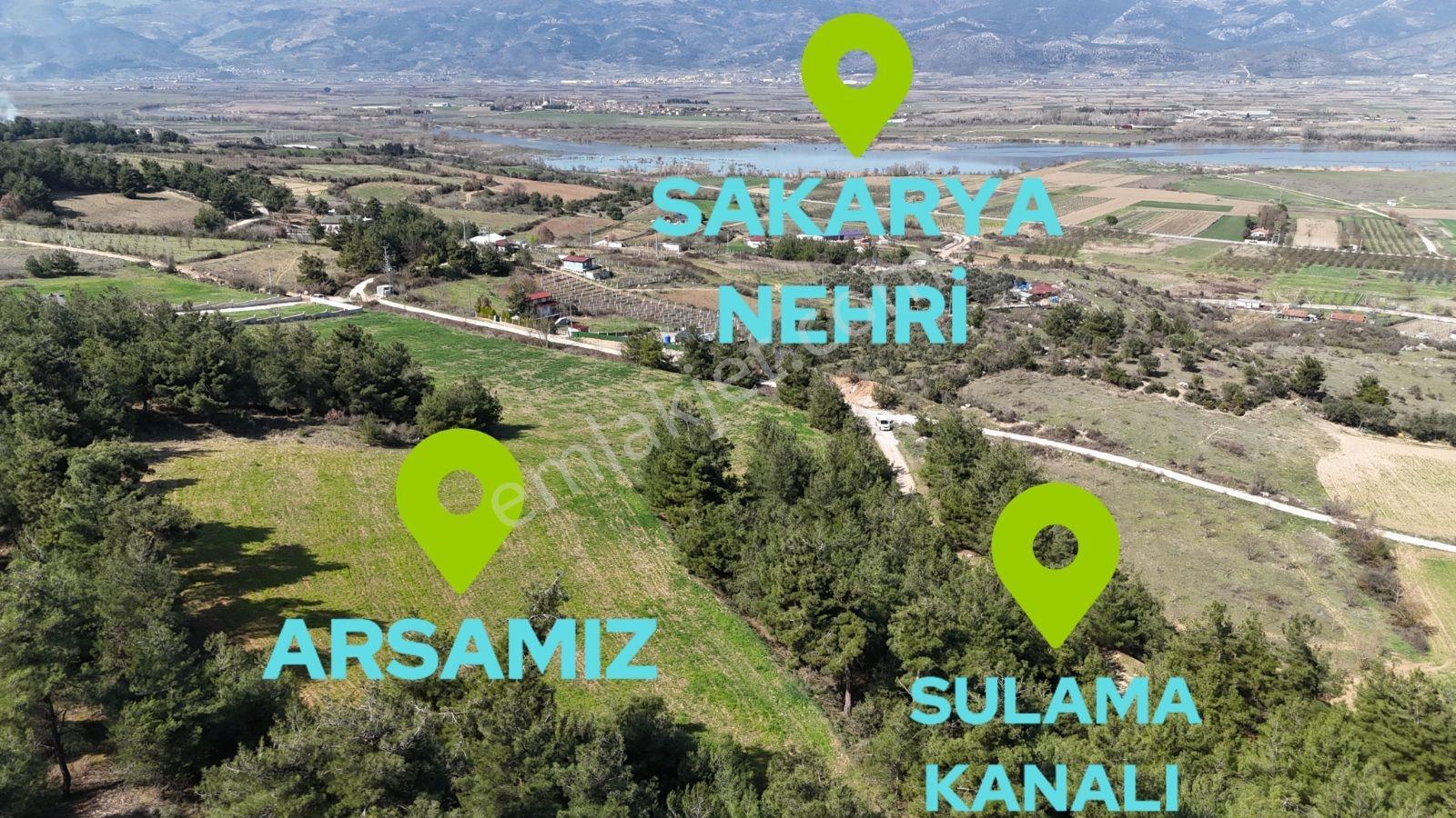 Sakarya Kozan Fırsat 6560 M2 Sakarya Nehri Manzaralı Köye 300 Mt - Görsel 2