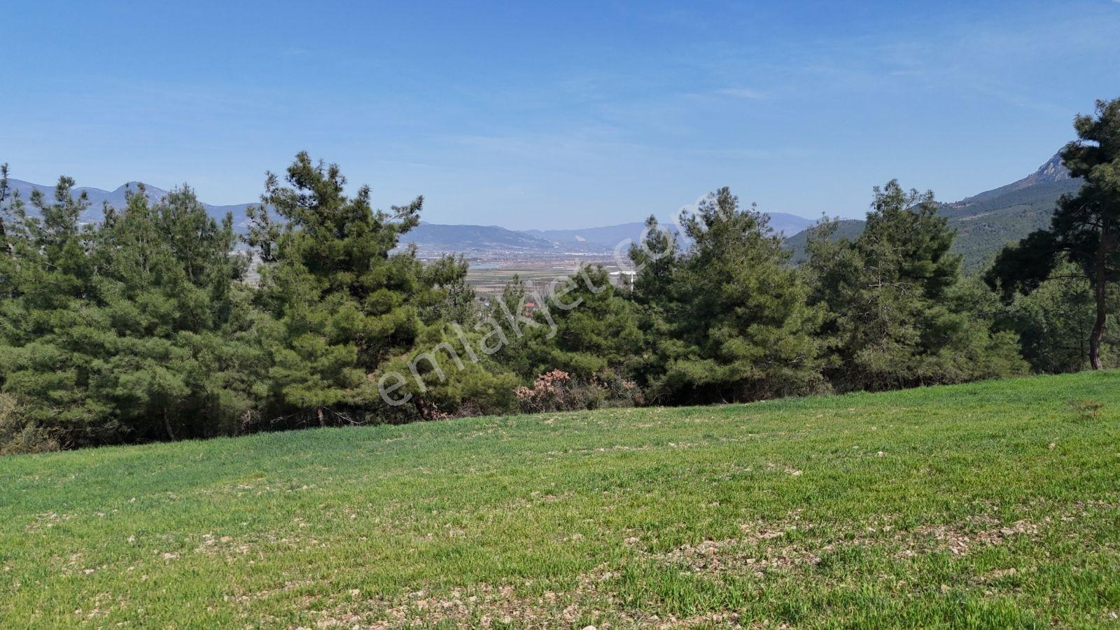 Sakarya Kozan Fırsat 6560 M2 Sakarya Nehri Manzaralı Köye 300 Mt - Görsel 19