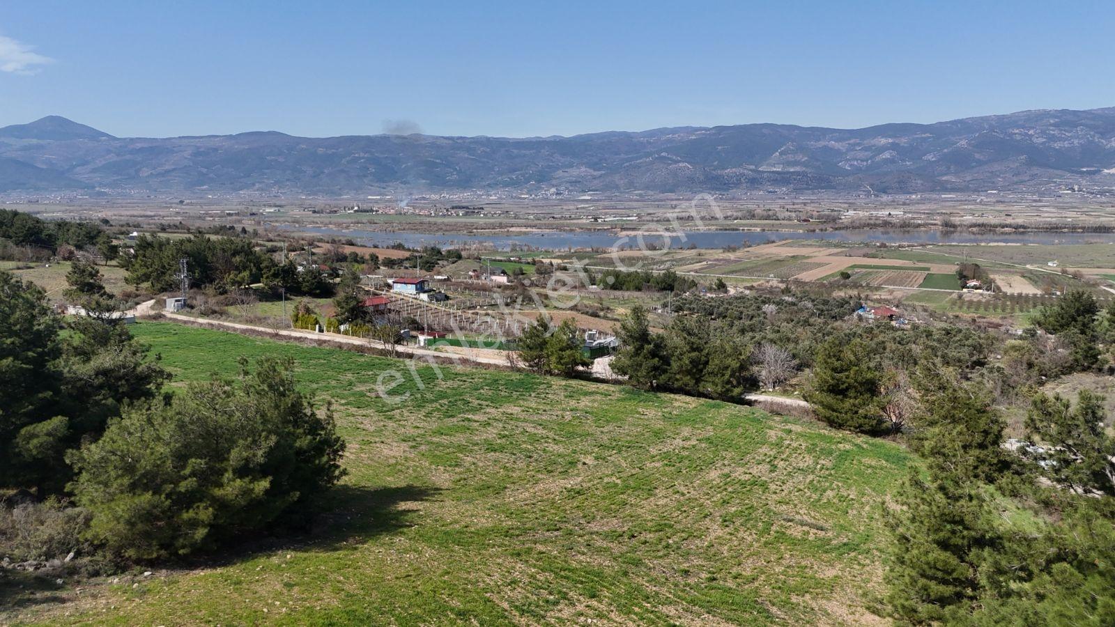 Sakarya Kozan Fırsat 6560 M2 Sakarya Nehri Manzaralı Köye 300 Mt - Görsel 35